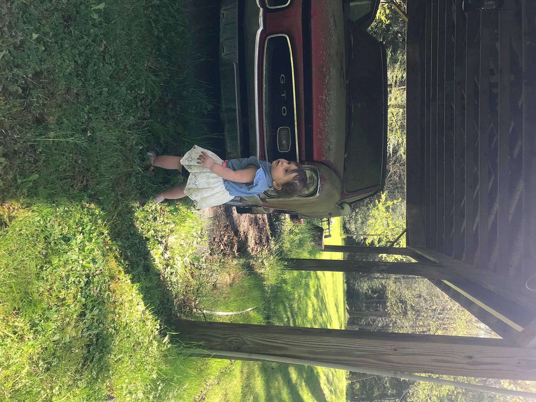 Winter is registered to the contest to win money with this photo: darkness, fun, grass, landscape, leisure, people_in_nature, person, plant, reflection, shadow, shrub, tints_and_shades, tree, wood