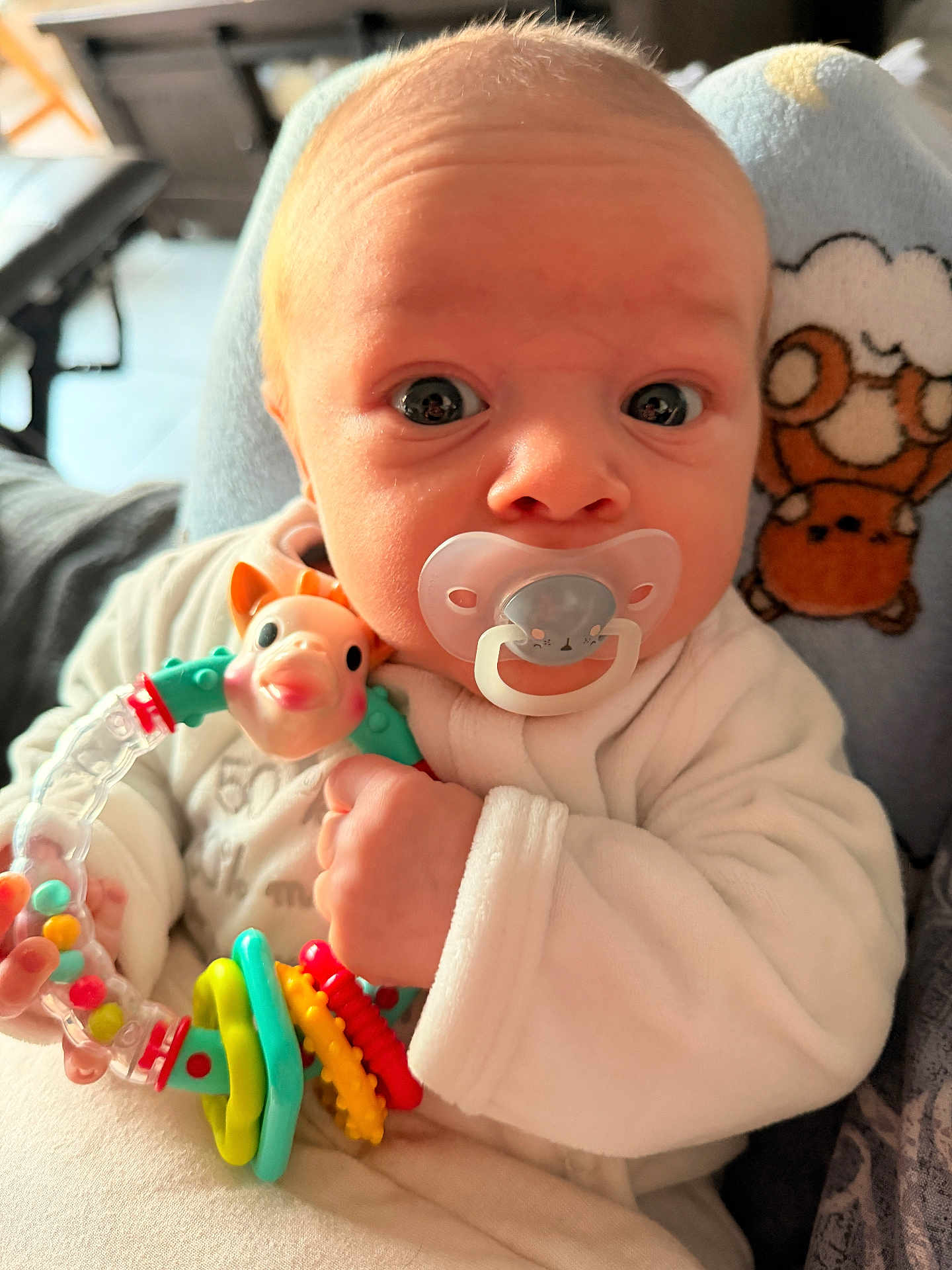 Kaïs participe au concours pour gagner de l'argent avec cette photo : baby, pacifier, rattle, toy, infant, closeup, face, hand, clothing, plush_toy, sheep, bear, cozy, cute, expression, indoor, person, child, newborn, soft