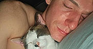 Tonta is registered to the contest to win money with this photo: animal, bed, blanket, cat, closeup, comfort, cozy, cute, face, fur, human, indoor, nap, peaceful, person, pets, relaxation, rest, skin, sleeping