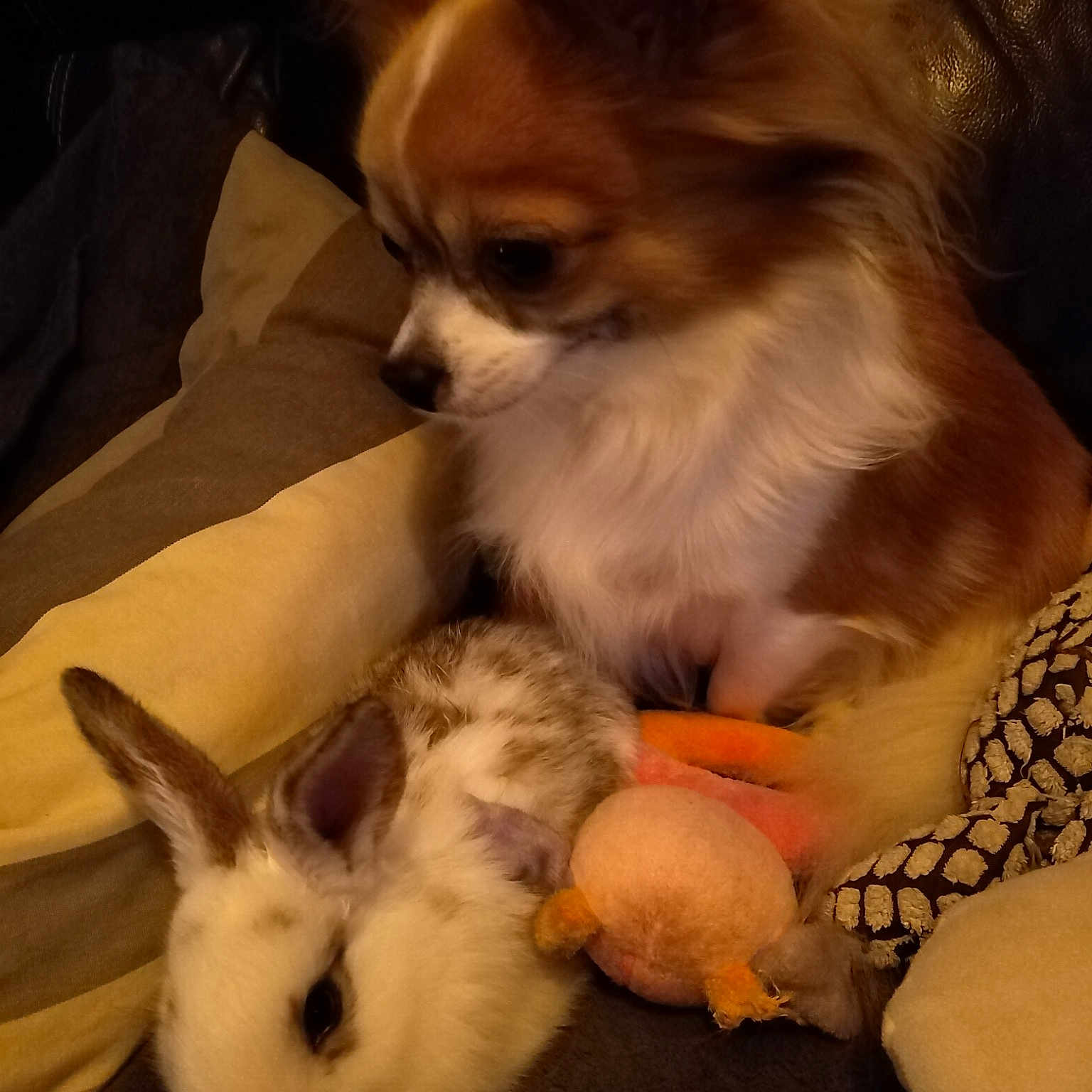 Max
