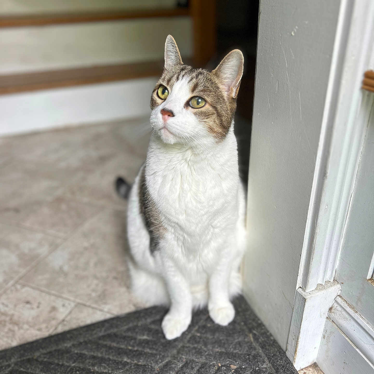Spanky