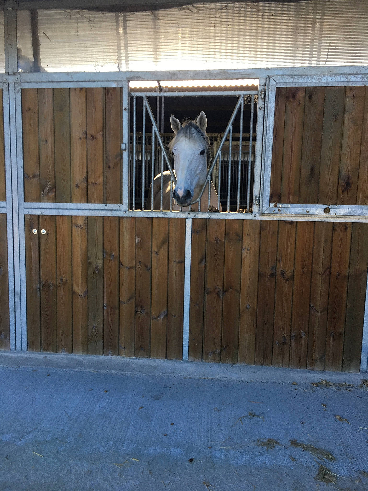 Prince Solar participe au concours pour gagner de l'argent avec cette photo : animal_shelter, barn, building, door, horse, shed, stable, stall, wood