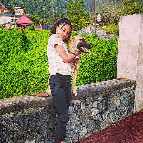 Rex a rejoint le concours — aidez-le/la à gagner de superbes lots ! carnivore, companion_dog, dog, dog_breed, fawn, flooring, fun, garden, grass, happy, landscape, leisure, plant, recreation, roof, sitting, t_shirt, temple, tourism, tree