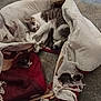 cat, kitten, newborn, blanket, torn_blanket, floor, carpet, resting, sleeping, animal, pet, mother_cat, small_kittens, indoor, cozy, feline, family, soft_lighting, worn_fabric, quiet_moment