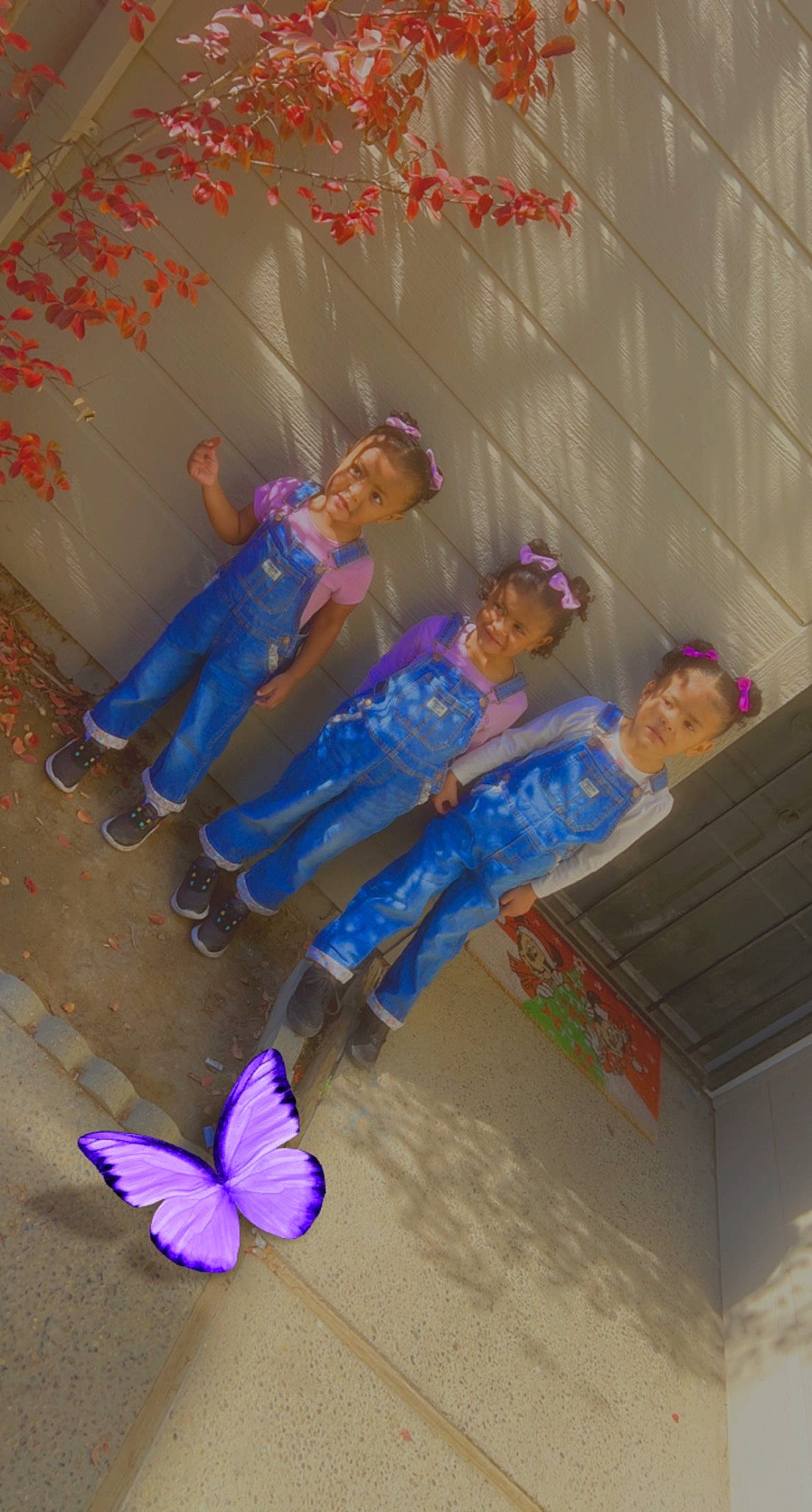 Cataleya joined the competition — help win amazing prizes! blue, butterfly, child, electric_blue, fun, happy, insect, joy, leisure, moths_and_butterflies, person, petal, pink, play, pollinator, purple, room, smile, toy, vacation