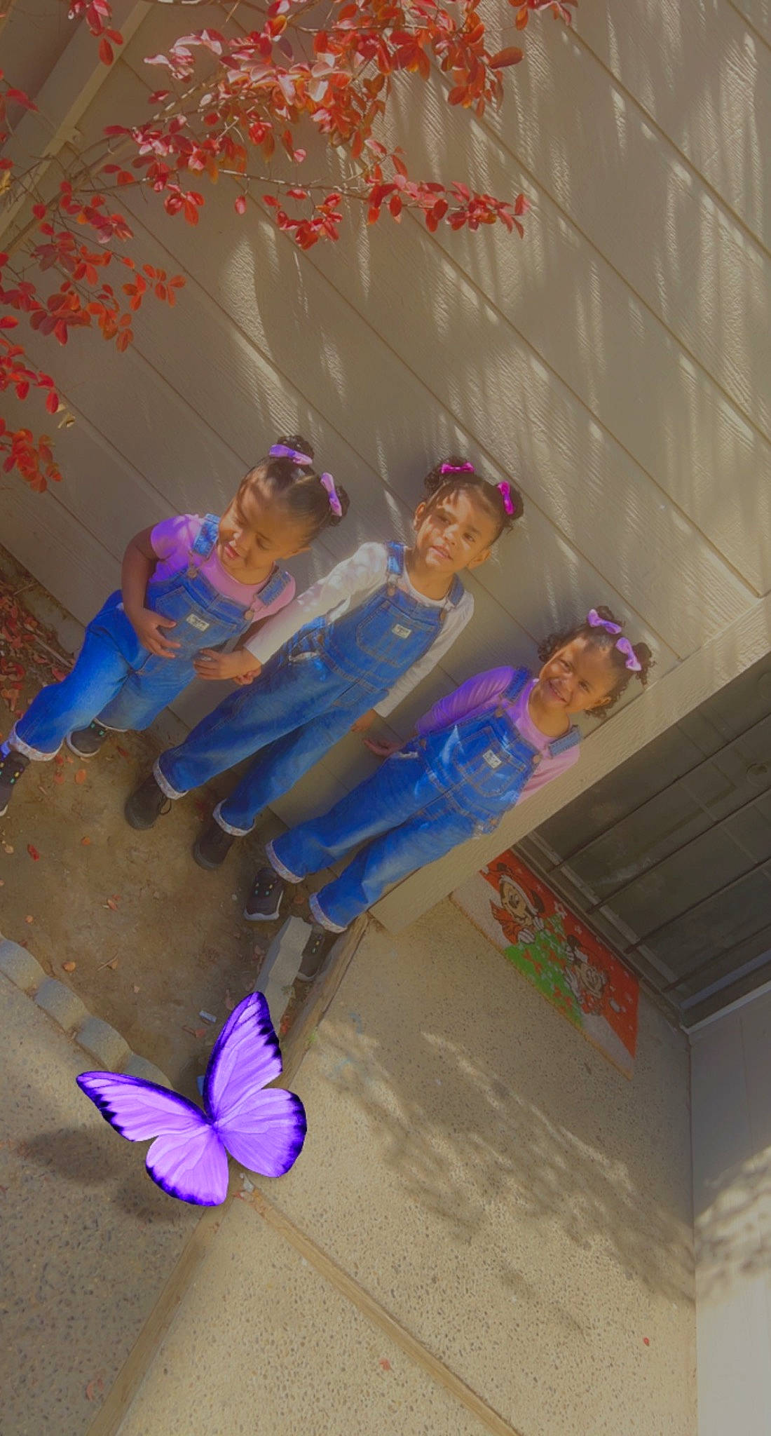 Paisley joined the competition — help win amazing prizes! beauty, butterfly, child, electric_blue, fun, happy, insect, joy, leisure, magenta, moths_and_butterflies, person, petal, pink, pollinator, purple, shadow, sitting, toy, wing