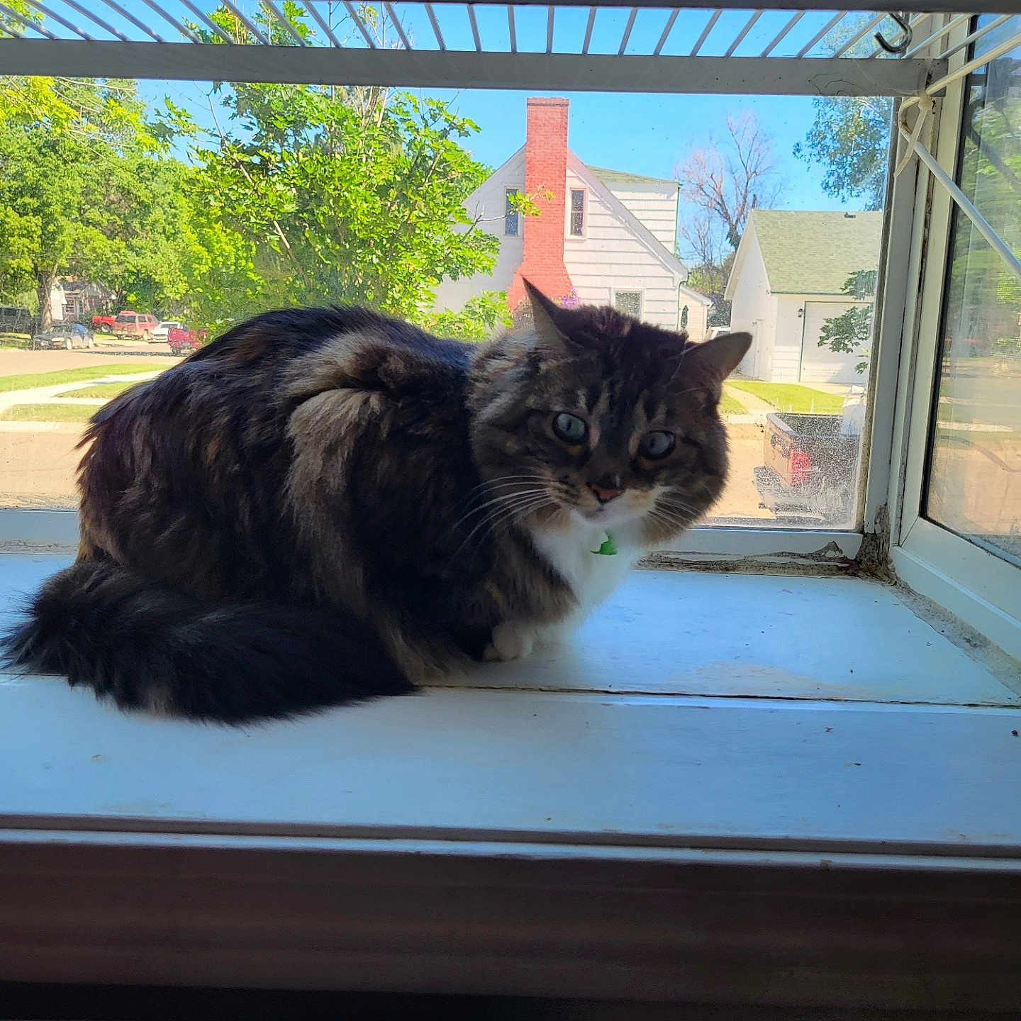 Luna