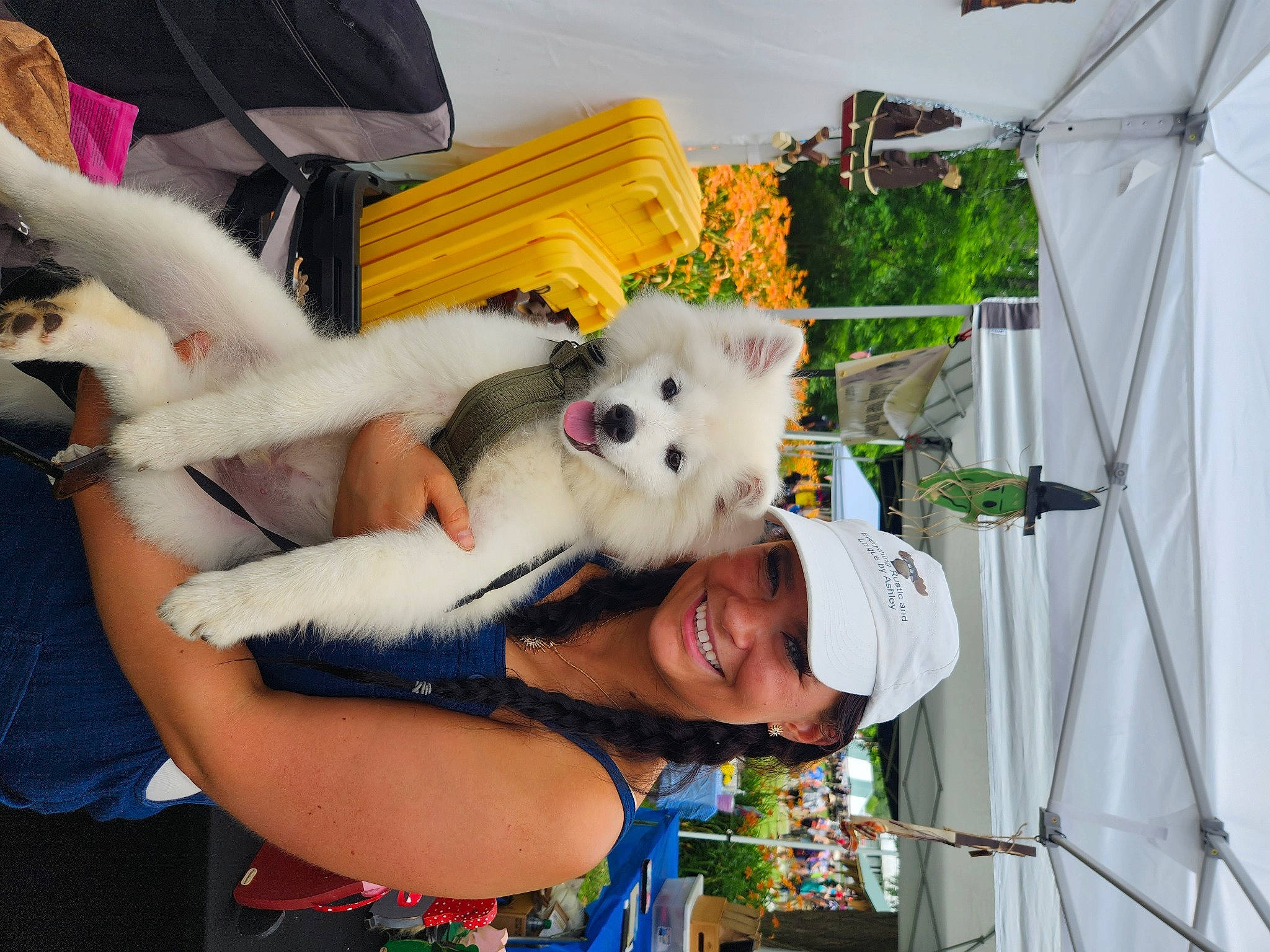 Bandit is registered to the contest to win money with this photo: canidae, carnivore, cockatoo, companion_dog, dog, dog_breed, event, fawn, fun, fur, hat, leisure, non_sporting_group, plant, smile, spitz, sporting_group, t_shirt, tail, tree