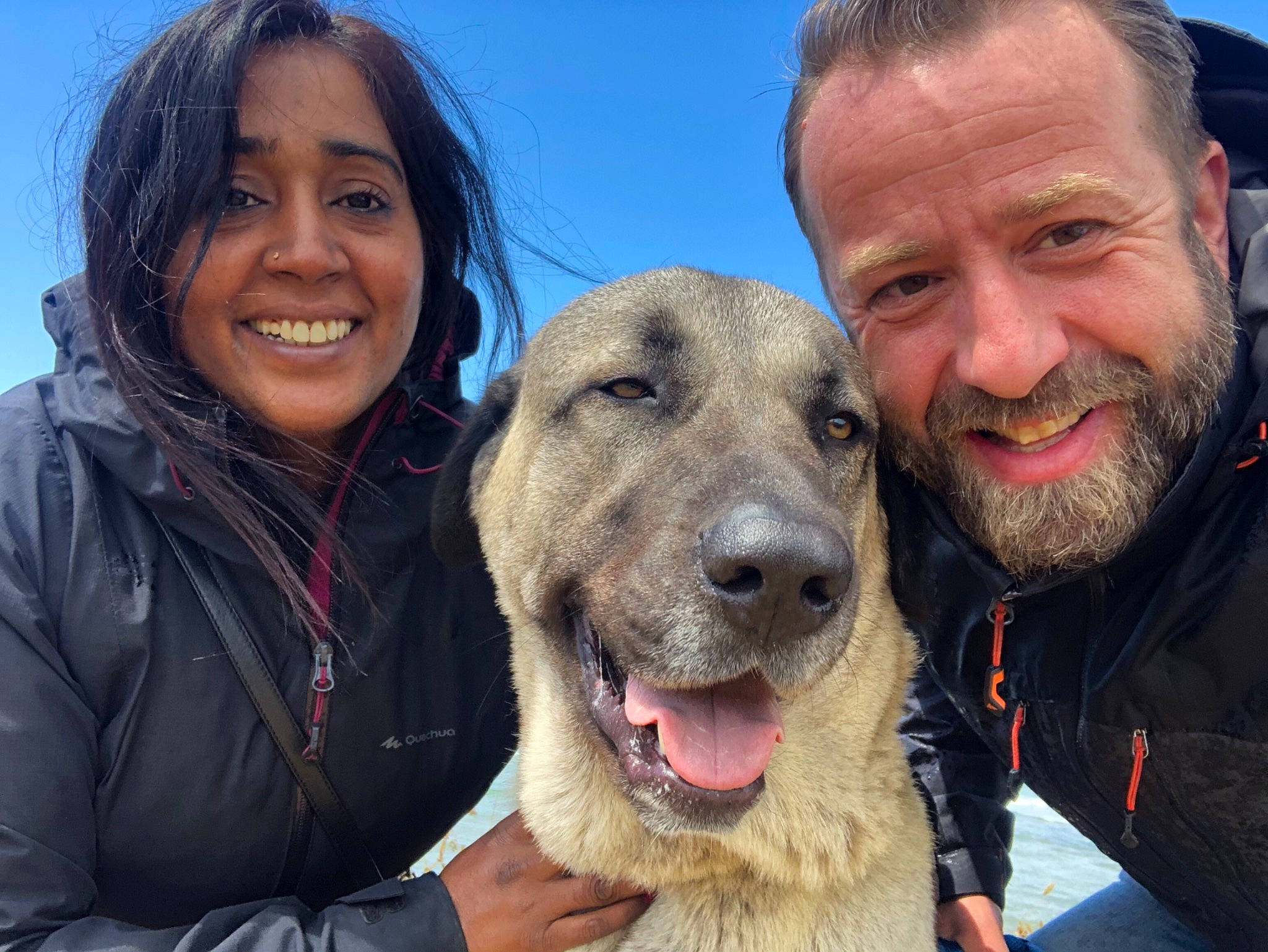 Atlas participe au concours pour gagner de l'argent avec cette photo : beard, carnivore, companion_dog, dog, dog_breed, eye, facial_expression, fawn, fun, happy, jaw, mammal, organ, people, selfie, skin, sky, smile, snout, travel