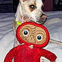 Sushi is registered to the contest to win money with this photo: dog, stuffed_toy, plush, bed, blanket, indoors, pet, animal, ears, toy, red_hoodie, white_blanket, cute, nostalgic, relaxed, companion, closeup, portrait, furry, domestic_animal