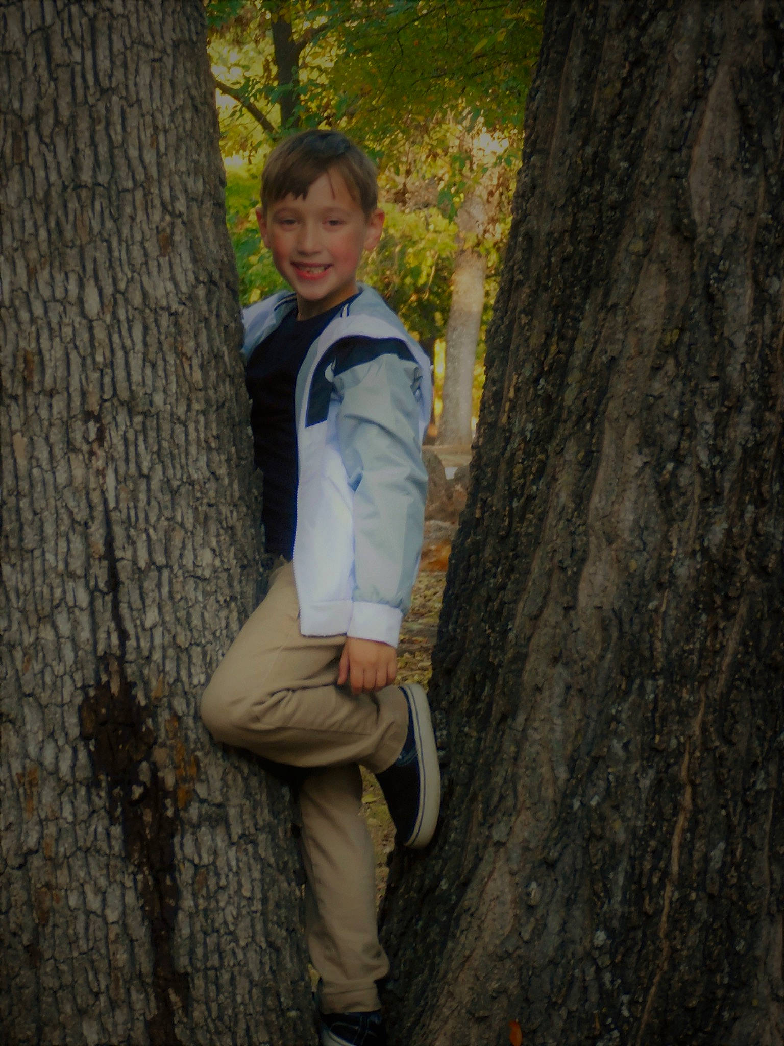 Abel is registered to the contest to win money with this photo: blond, branch, deciduous, forest, grass, happy, joy, leaf, natural_environment, old_growth_forest, people_in_nature, person, plant, sitting, smile, spring, tree, trunk, wilderness, wood