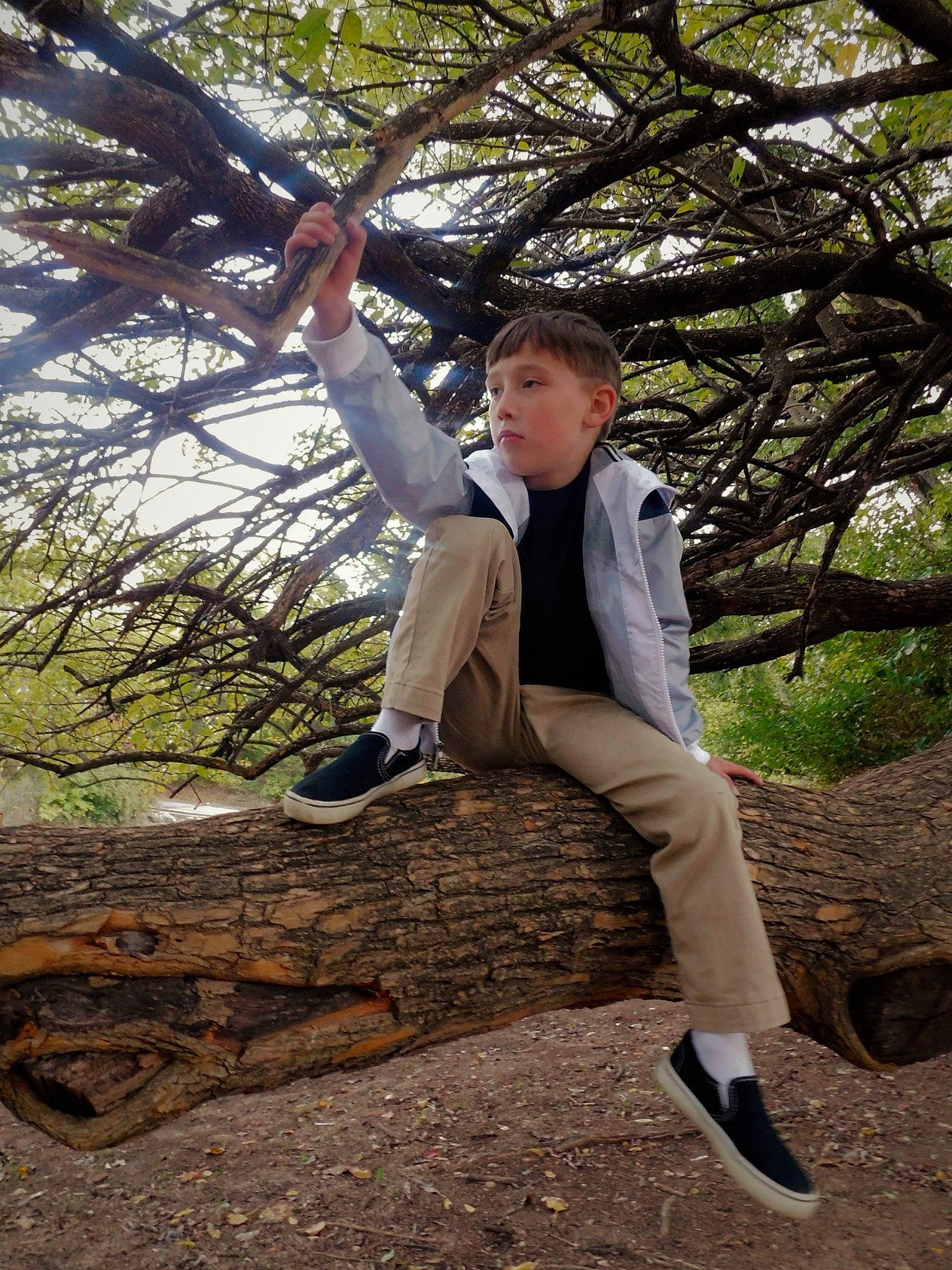 Abel joined the competition — help win amazing prizes! deciduous, footwear, forest, formal_wear, grass, happy, human_leg, knee, leg, leisure, people_in_nature, person, shoe, sitting, soil, thigh, tree, trunk, twig, wood