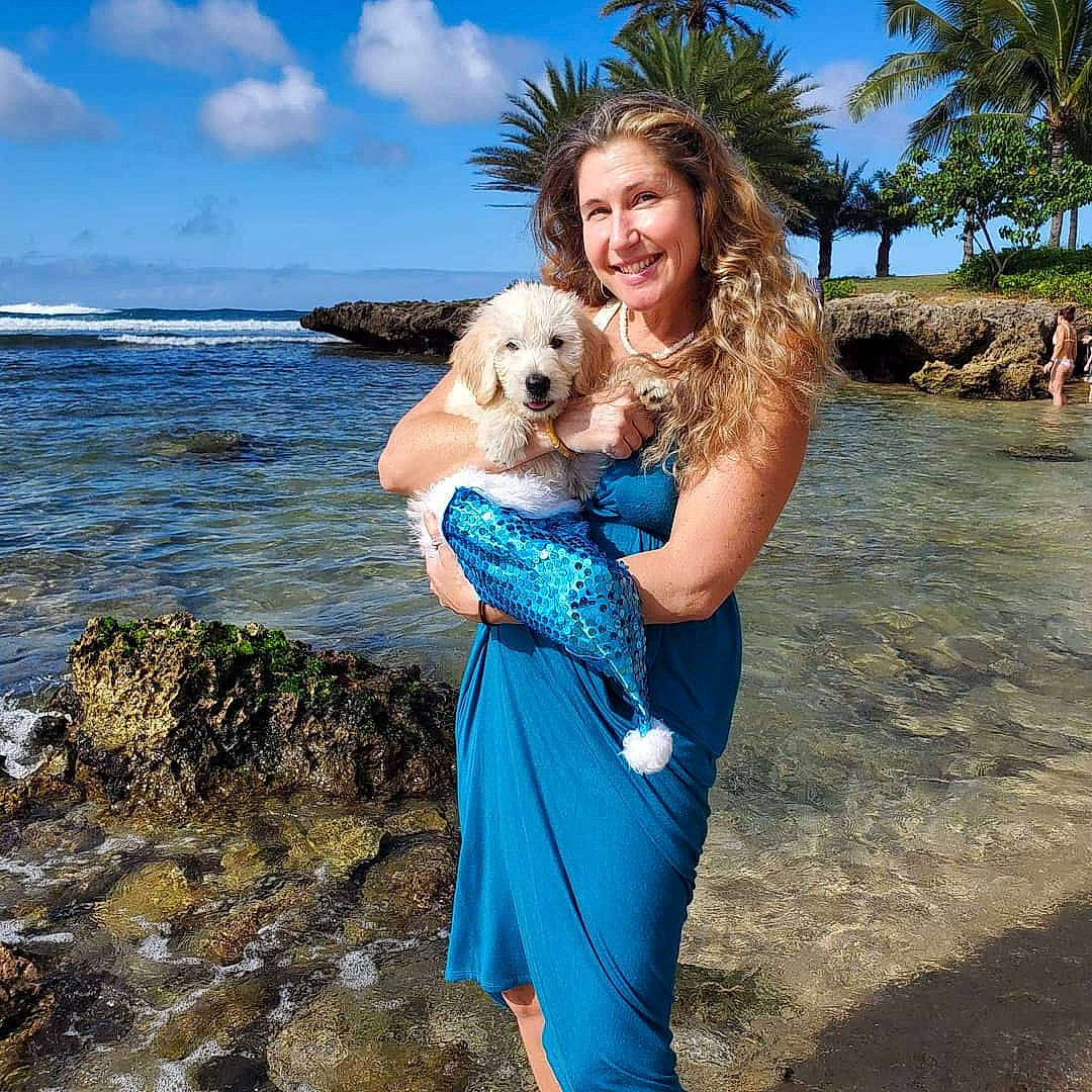 Heleui joined the competition — help win amazing prizes! aqua, arecales, beach, carnivore, clothing, coast, companion_dog, dog, dog_breed, fawn, human, leisure, maltepoo, ocean, shore, sporting_group, summer, toy_dog, vacation, vertebrate