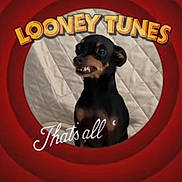 Laïka participe au concours pour gagner de l'argent avec cette photo : dog, puppy, black_and_tan, small_dog, portrait, toothy_grin, open_mouth, sitting, short_hair, pet, animal, red_background, cartoon_style, looney_tunes, text_overlay, quilted_background, centered_subject, funny, close_up, indoors