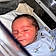 Harrison