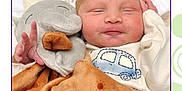 Lucian is registered to the contest to win money with this photo: newborn, baby, sleeping, smiling, plush_toy, elephant, blanket, cozy, infant, cute, child, soft_toy, clothing, portrait, resting, peaceful, hand, face, indoors, comfort