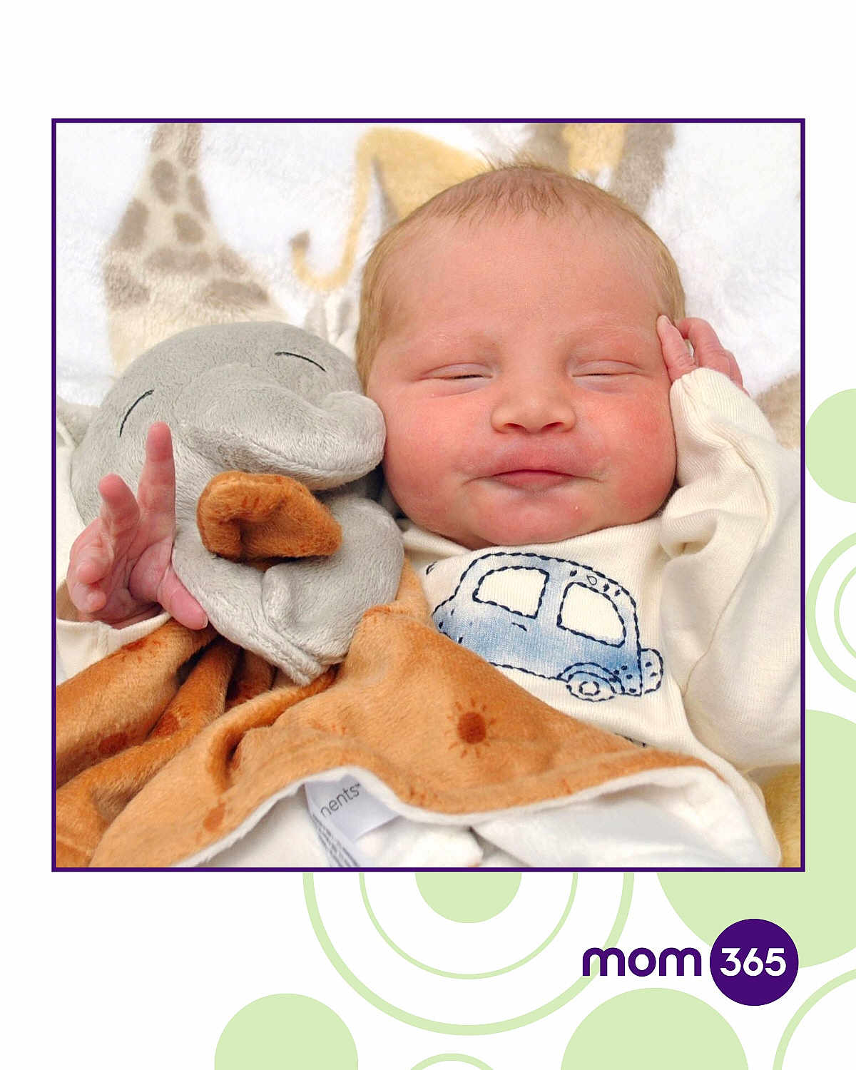 Lucian is registered to the contest to win money with this photo: newborn, baby, sleeping, smiling, plush_toy, elephant, blanket, cozy, infant, cute, child, soft_toy, clothing, portrait, resting, peaceful, hand, face, indoors, comfort
