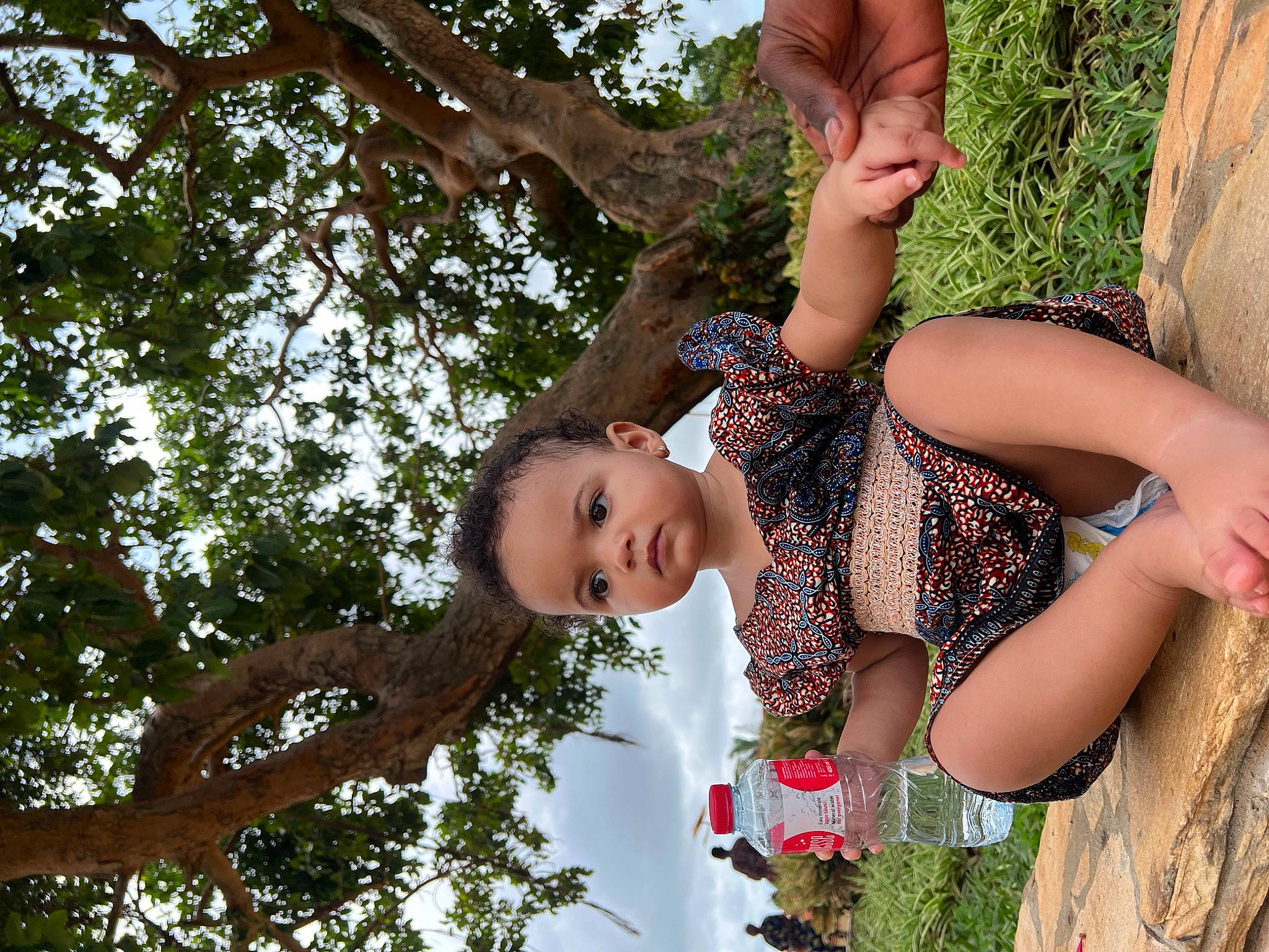 Alyna participe au concours pour gagner de l'argent avec cette photo : adaptation, child, elbow, fun, gesture, grass, hand, happy, human_leg, leaf, leisure, organism, people_in_nature, person, plant, smile, toddler, tree, trunk, twig