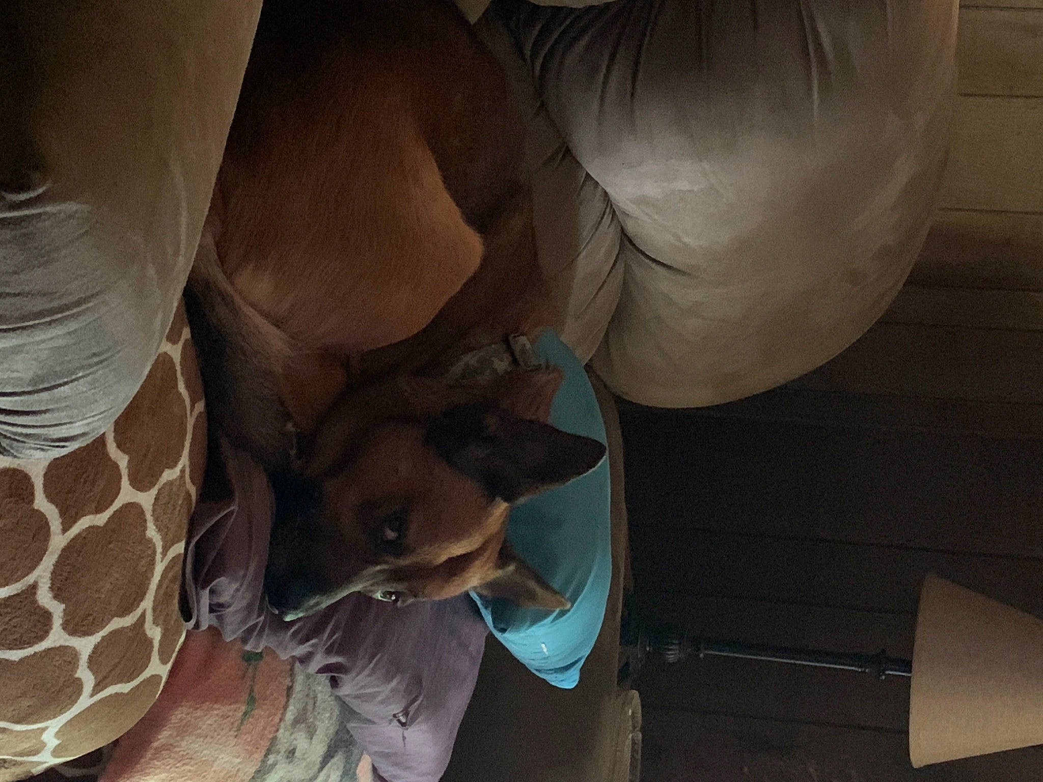 Bo is registered to the contest to win money with this photo: abdomen, arm, comfort, elbow, fashion_accessory, gesture, hat, human_leg, joint, knee, linens, machine, nail, pattern, room, shoulder, sitting, thigh, wrist