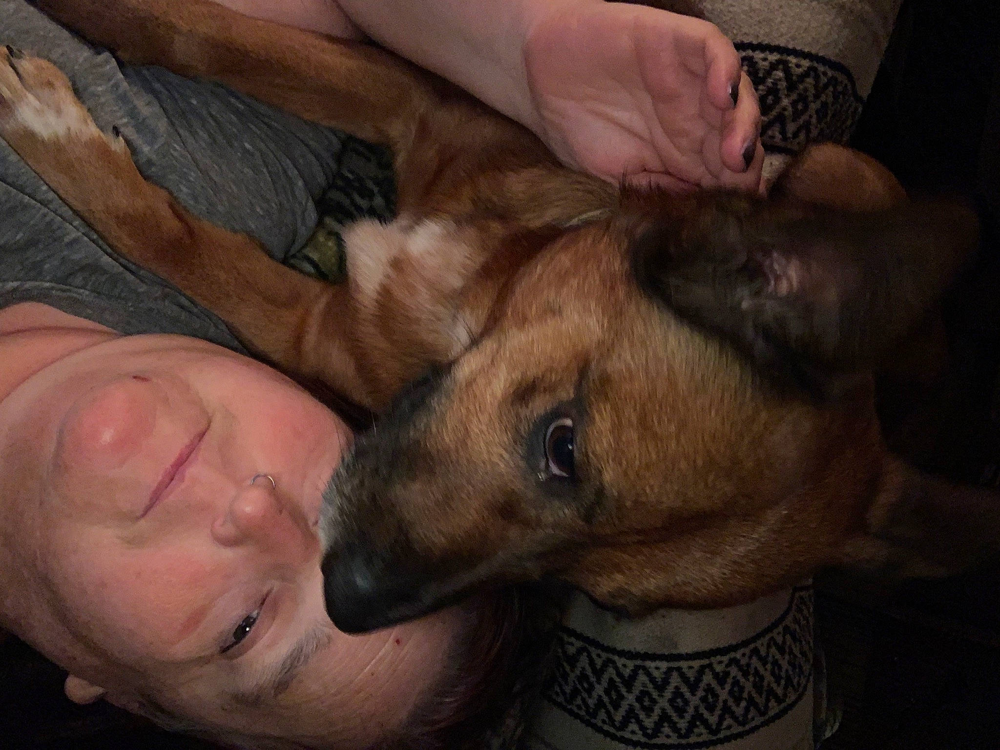 Bo is registered to the contest to win money with this photo: canidae, carnivore, comfort, companion_dog, dog, dog_breed, ear, fawn, fur, gesture, jaw, nail, non_sporting_group, nose, snout, sporting_group, whiskers, working_animal, wrinkle, wrist