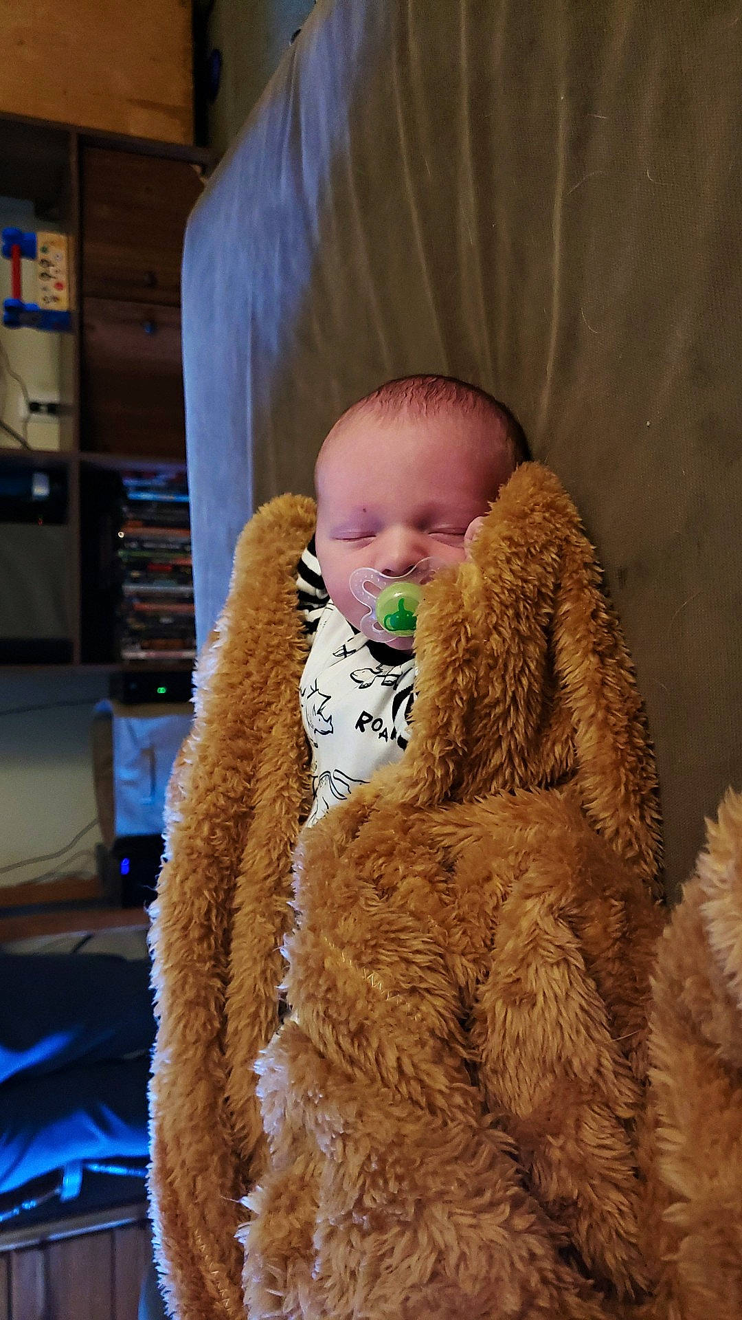 Nicholas joined the competition — help win amazing prizes! child, fur, fur_clothing, outerwear, person, teddy_bear, toddler