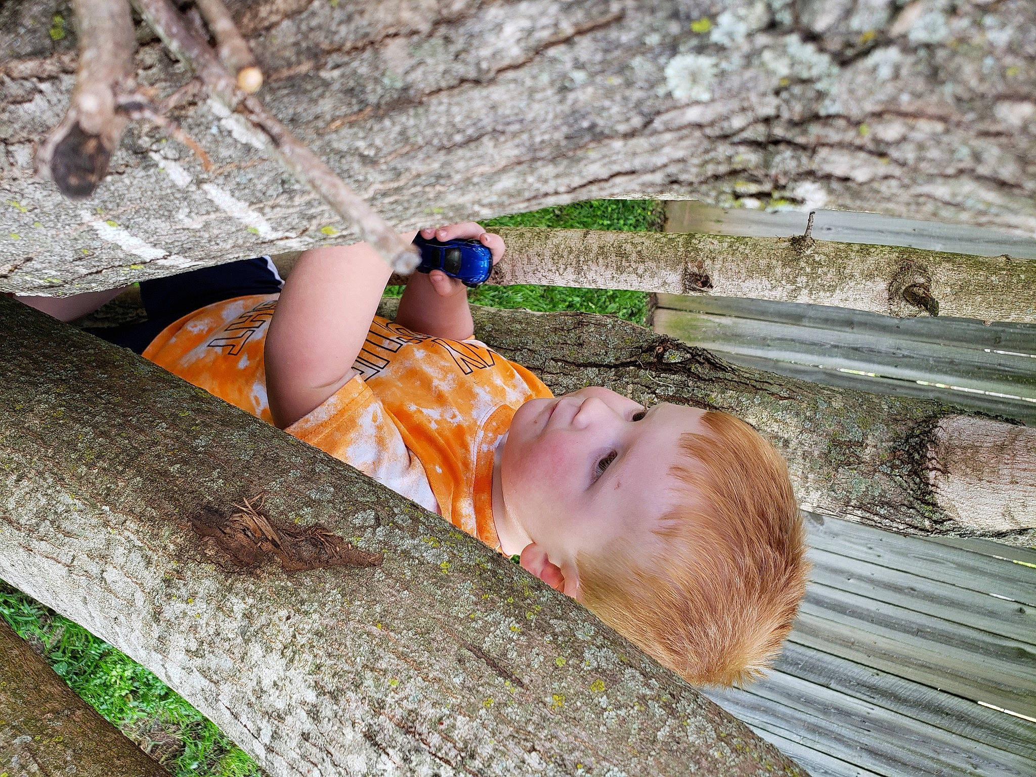 Kaidyn joined the competition — help win amazing prizes! child, fawn, leisure, person, plant, recreation, tree, trunk, vacation, wood