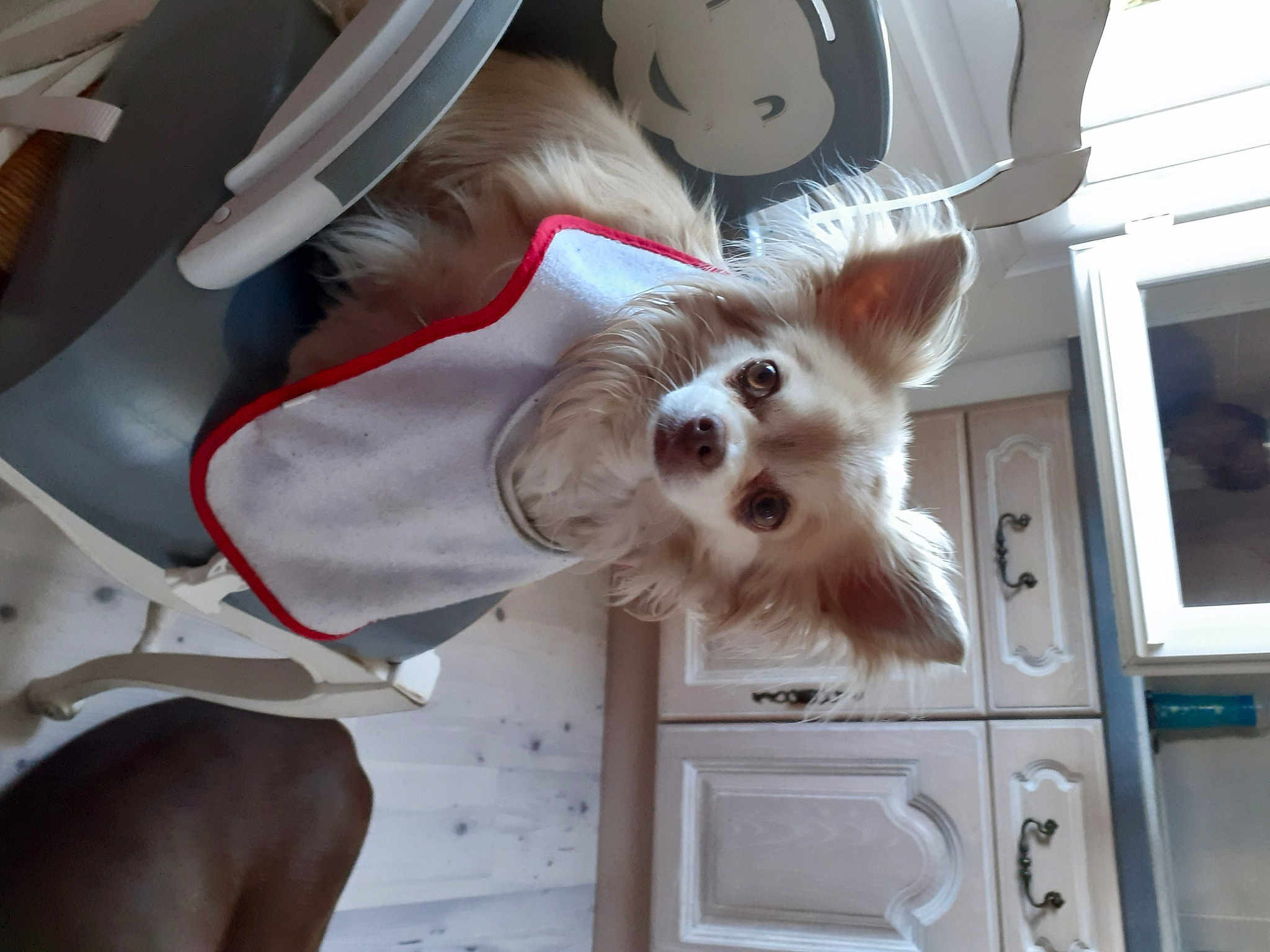 Lola