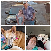 Princess Peach joined the competition — help win amazing prizes! animal, car, casual, collar, couch, dog, face, girl, indoor, man, outdoor, person, pet, portrait, seat, smile, tan_dog, vehicle, white_dog, window