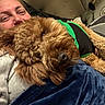 dog, pet, curly_hair, brown_fur, harness, green, black, lying_down, bed, blanket, person, smiling, face, indoor, home, cozy, cuddle, portrait, animal, photography