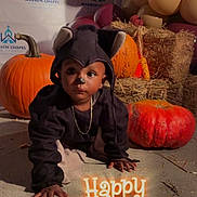 Deshawn joined the competition — help win amazing prizes! toddler, child, costume, mouse, halloween, pumpkin, hay_bale, balloon, face_paint, crawling, floor, holiday, festive, decoration, party, cute, black_clothing, orange_pumpkin, background, indoors
