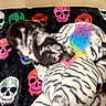 black_and_white, blanket, carpet, cozy, cute, dog, fur, indoor, merle, nap, pet, plush_toy, puppy, rainbow, skull_pattern, sleeping, stuffed_animal, tile_floor, toy, zebra