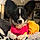 Roxy