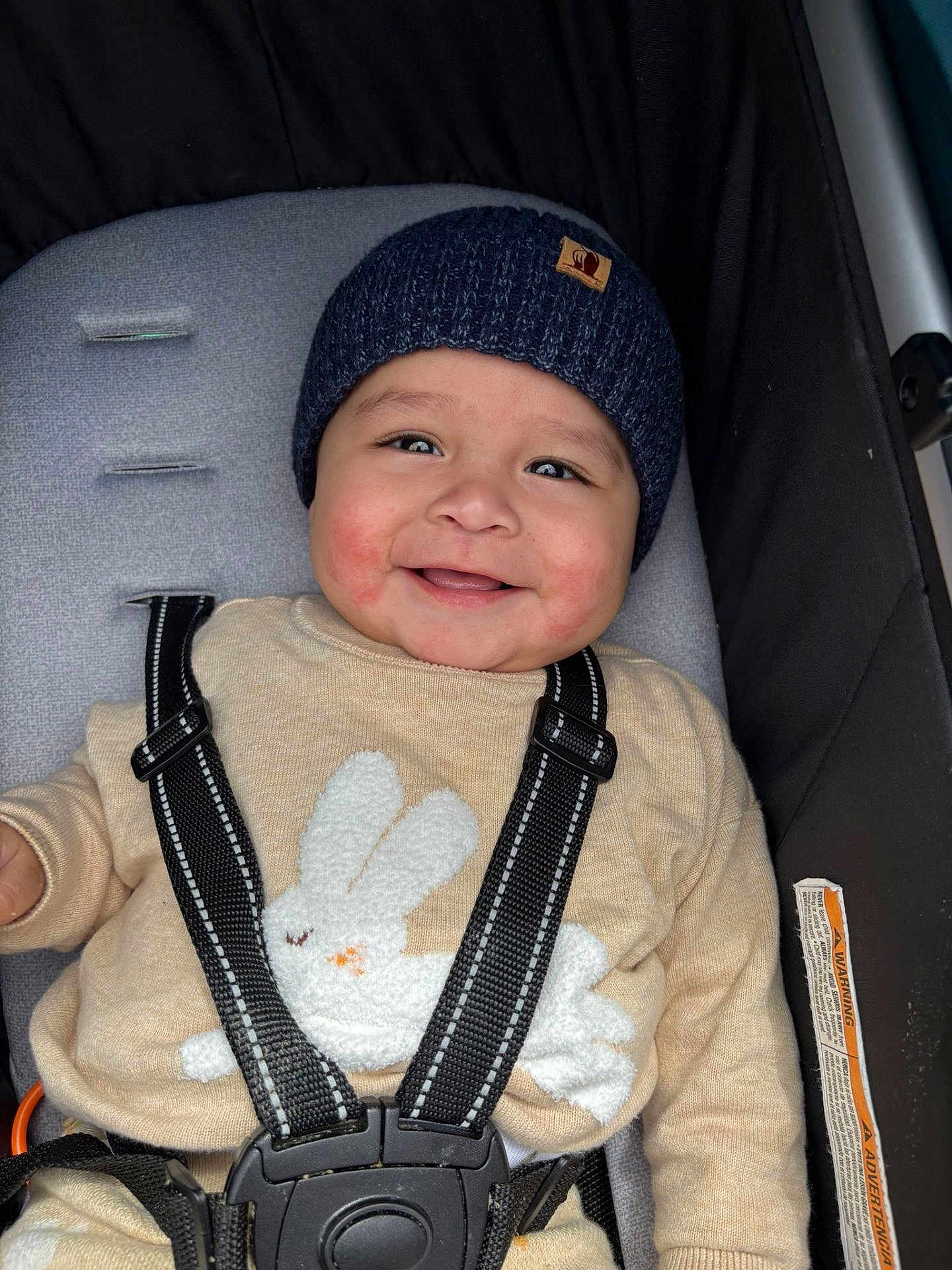 Alec Leal joined the competition — help win amazing prizes! baby, smiling, child, hat, knit_hat, sweater, bunny_design, stroller, seatbelt, happy, cute, infant, bundle_up, outdoor, face, childrens_clothing, portrait, warm_clothing, seat, baby_seat
