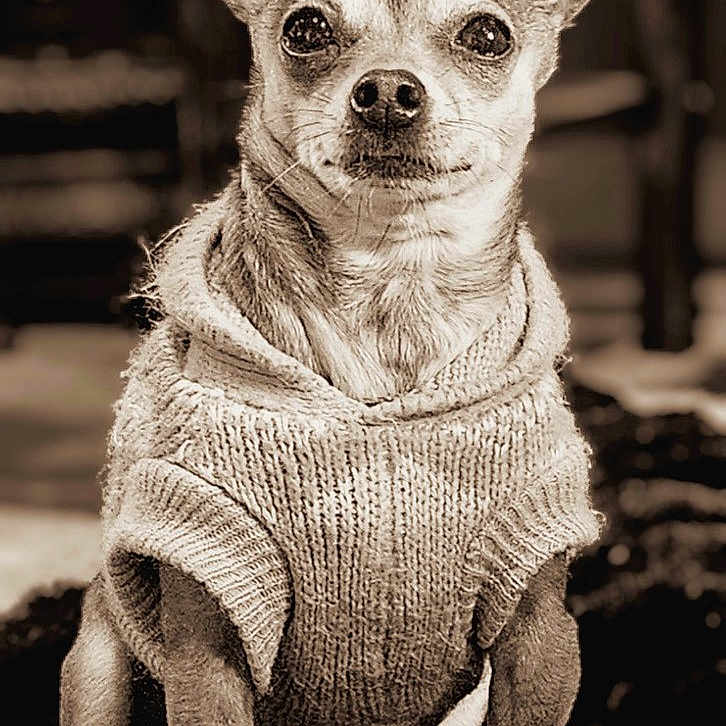 Coco