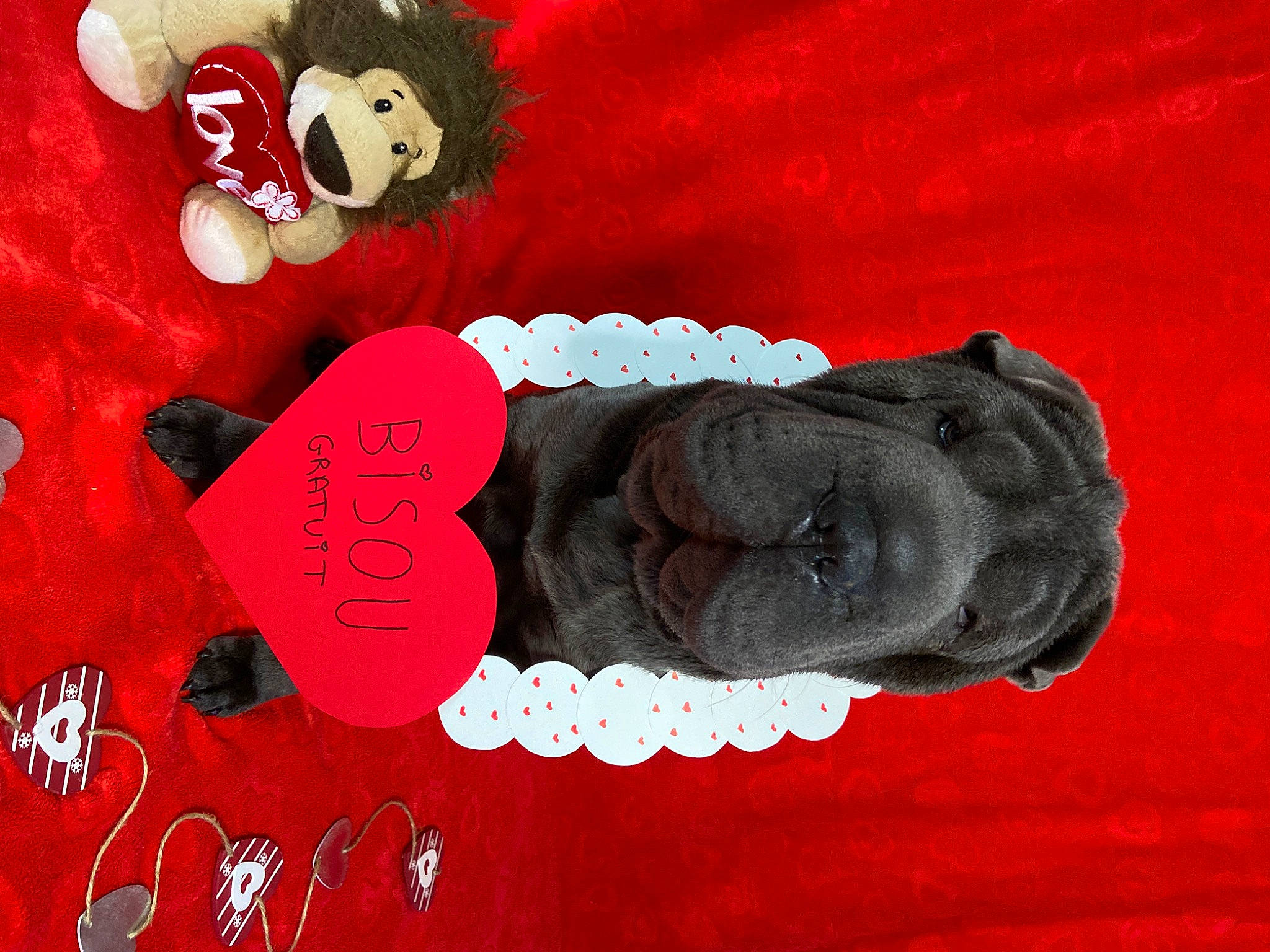 Taïa participe au concours pour gagner de l'argent avec cette photo : artifact, carmine, fashion_accessory, font, fur, gesture, glove, happy, heart, love, magenta, orange, personal_protective_equipment, plush, red, sleeve, sportswear, stuffed_toy, teddy_bear, toy