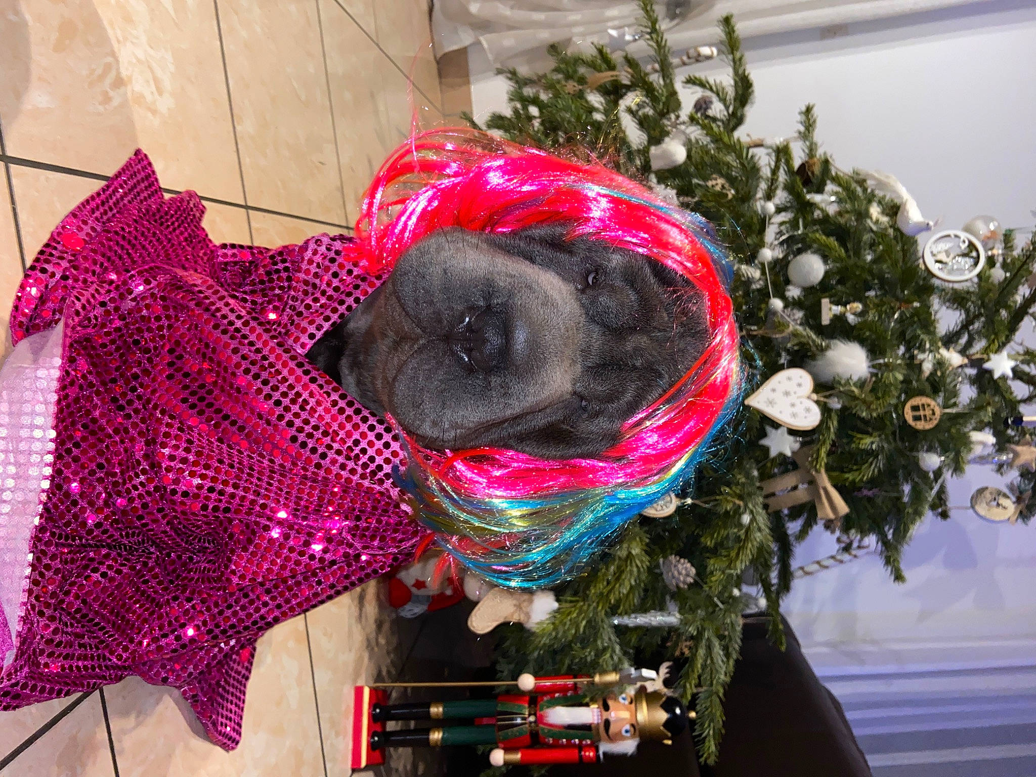 Taïa a rejoint le concours — aidez-le/la à gagner de superbes lots ! carmine, christmas_decoration, christmas_ornament, christmas_tree, conifer, event, evergreen, holiday, holiday_ornament, house, magenta, ornament, pattern, plant, red, thread, tree, twig, wool, woolen