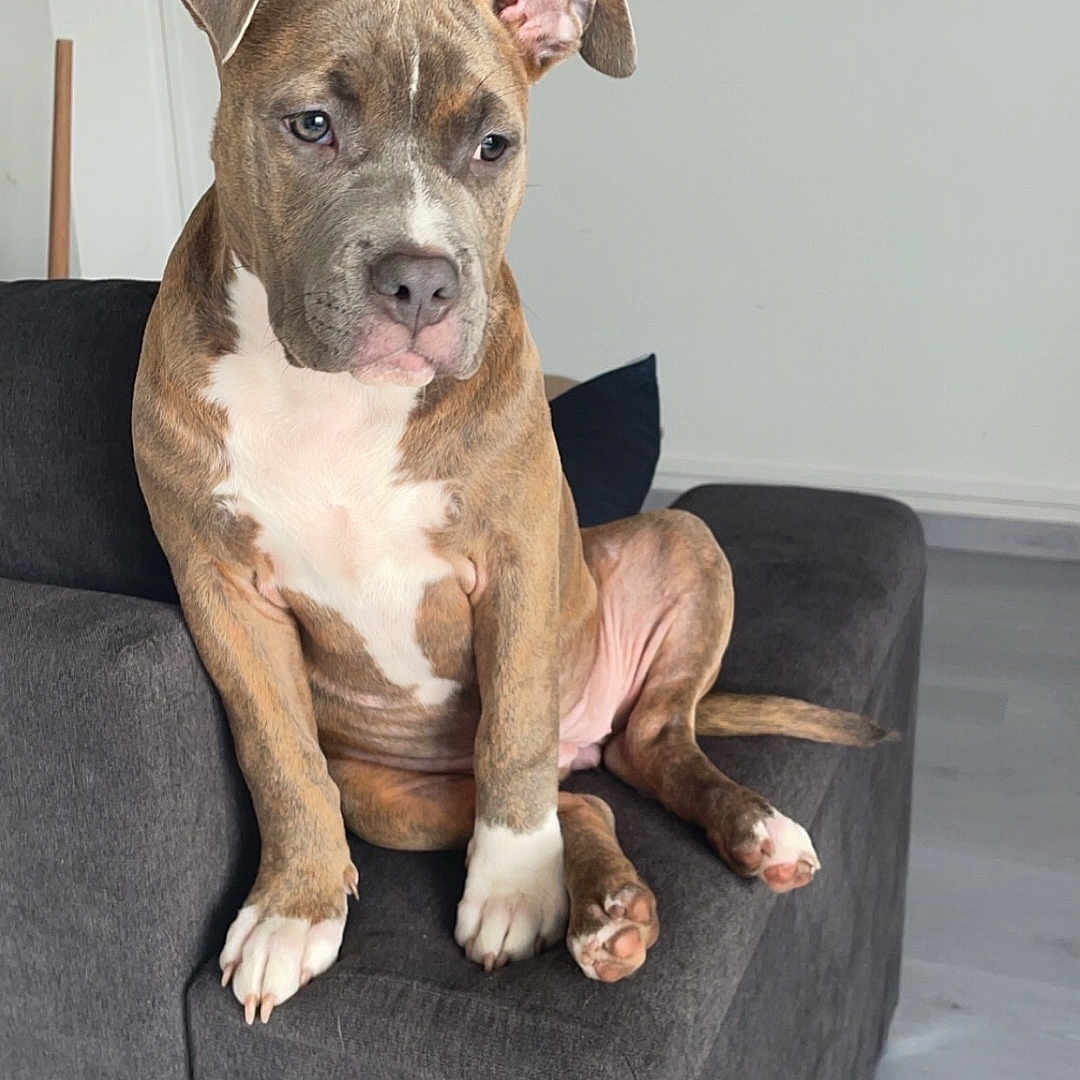 Mia