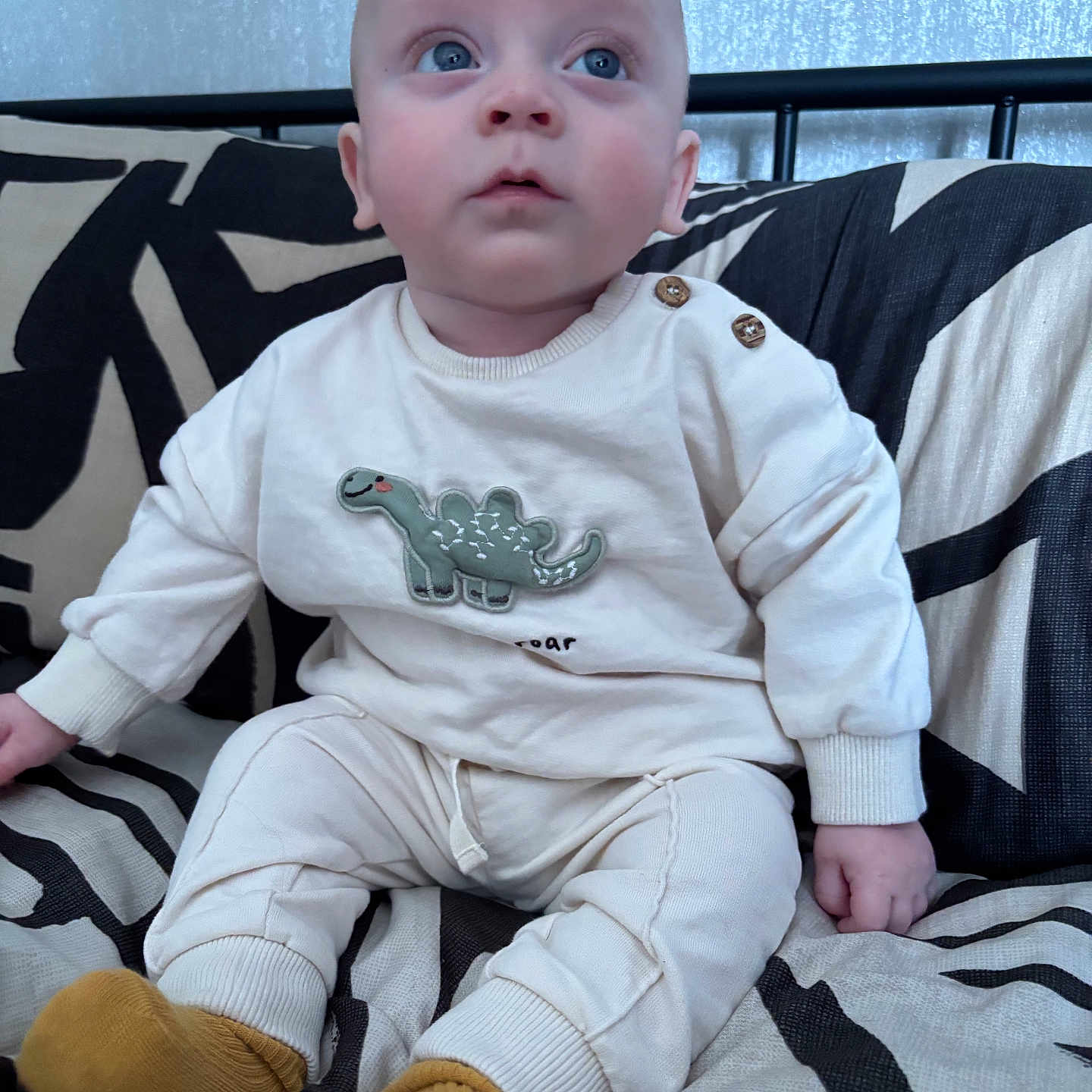 Rico joined the competition — help win amazing prizes! baby, blue_eyes, child, clothing, couch, cozy, cute, dinosaur_patch, face, hands, head, indoor, infant, legs, patterned_fabric, portrait, sitting, socks, soft_lighting, young_child
