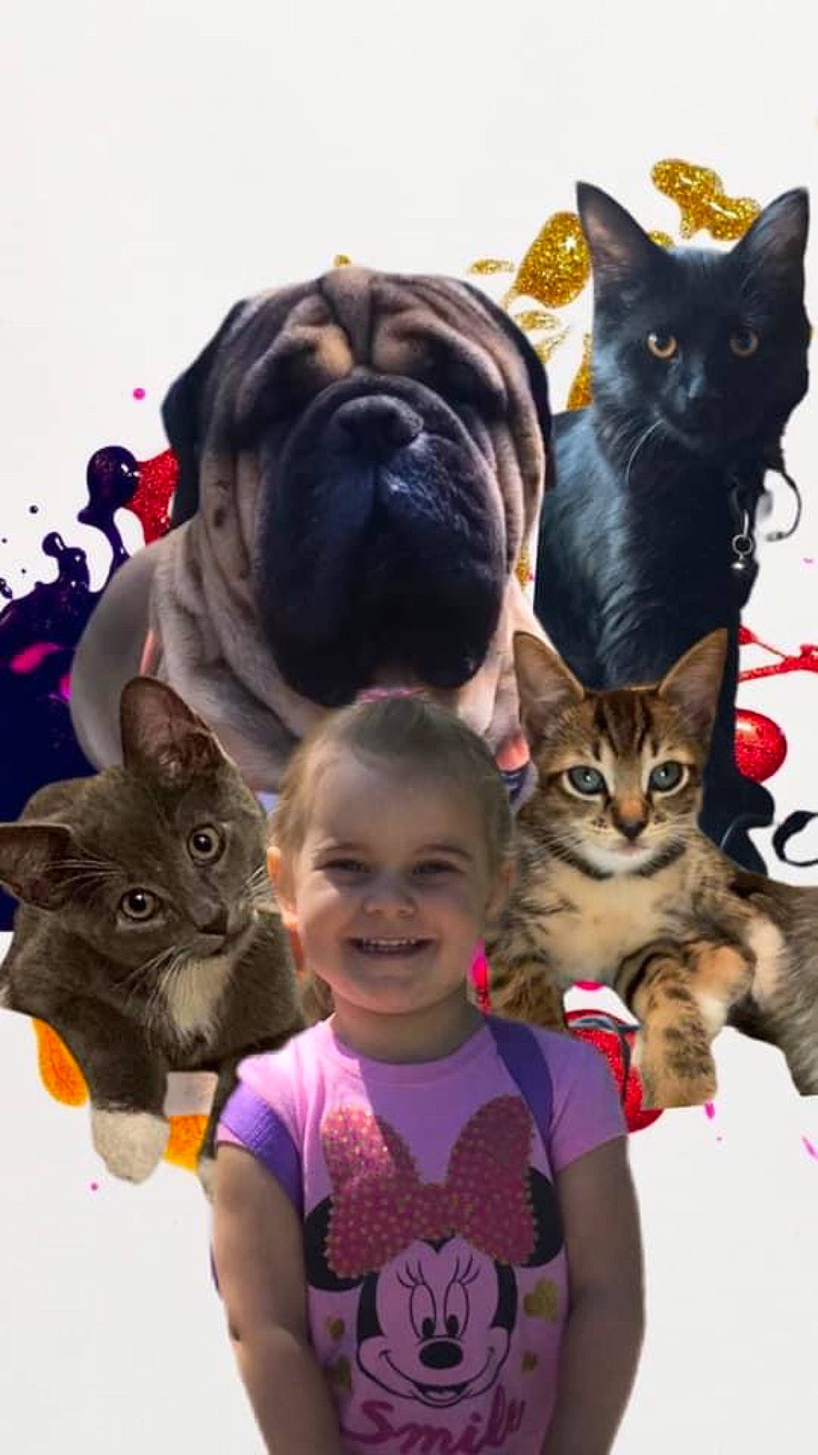 Leighton joined the competition — help win amazing prizes! asian, carnivore, cat, domestic_short_haired_cat, fawn, felidae, joy, kitten, mammal, person, small_to_medium_sized_cats, snout, tabby_cat, whiskers