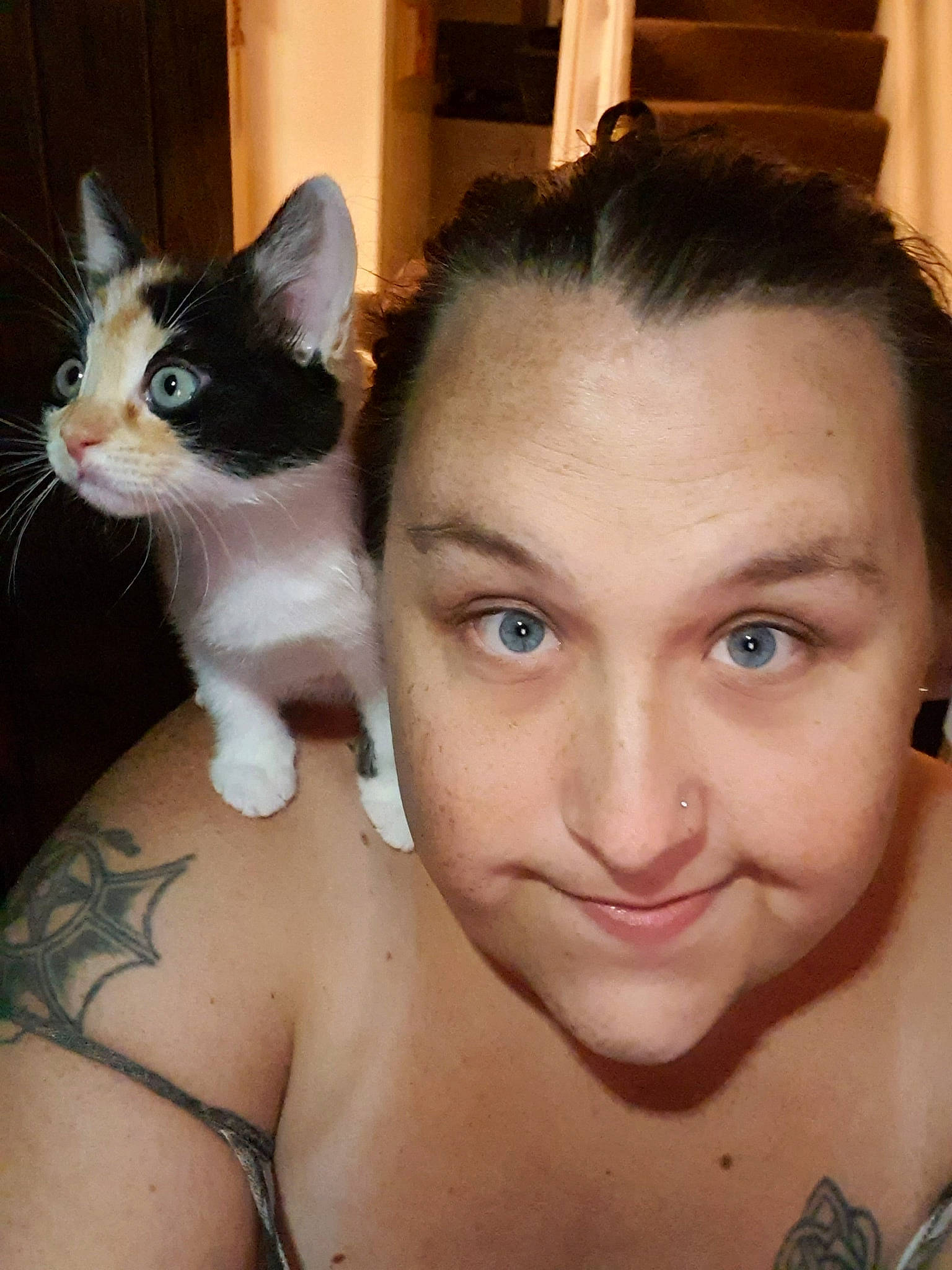 Clementine joined the competition — help win amazing prizes! arm, brown_hair, carnivore, cat, cheek, chest, domestic_short_haired_cat, ear, eye, eyebrow, face, felidae, forehead, hair, head, nose, photography, selfie, small_to_medium_sized_cats, whiskers
