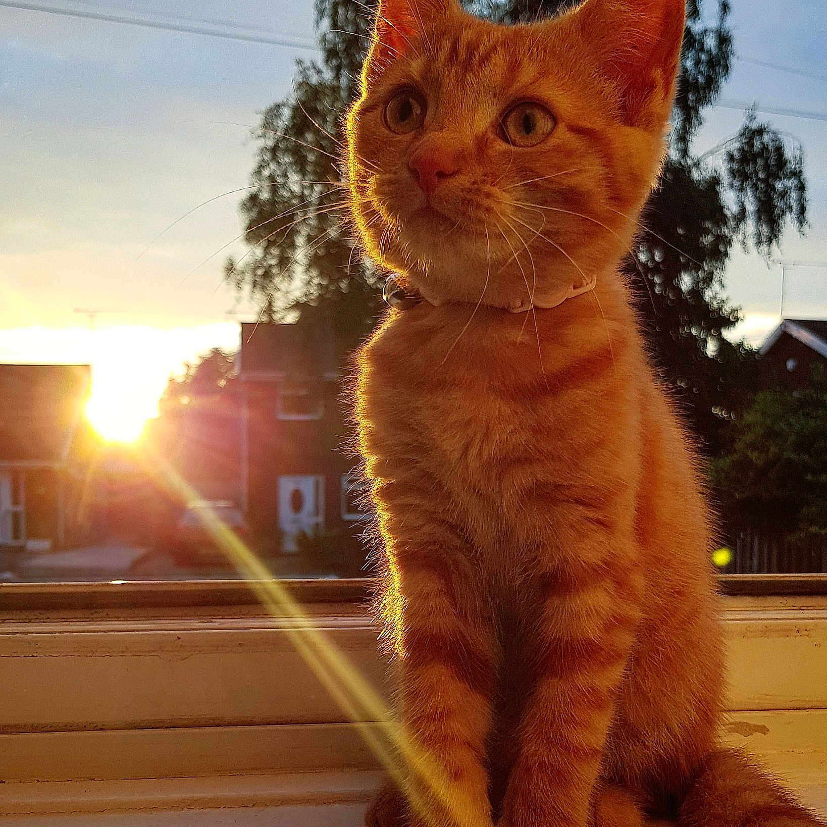 Twizzle