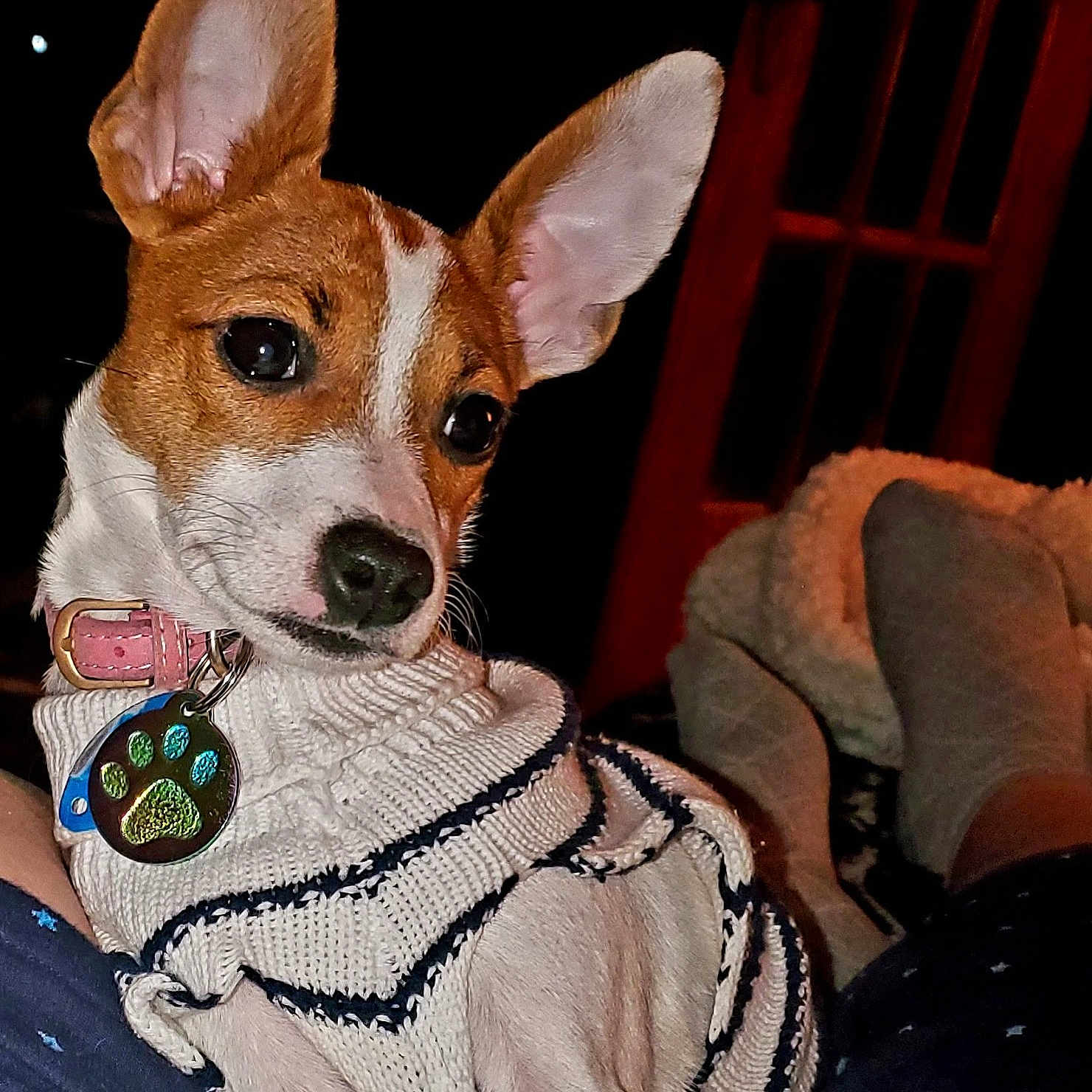 Roxy