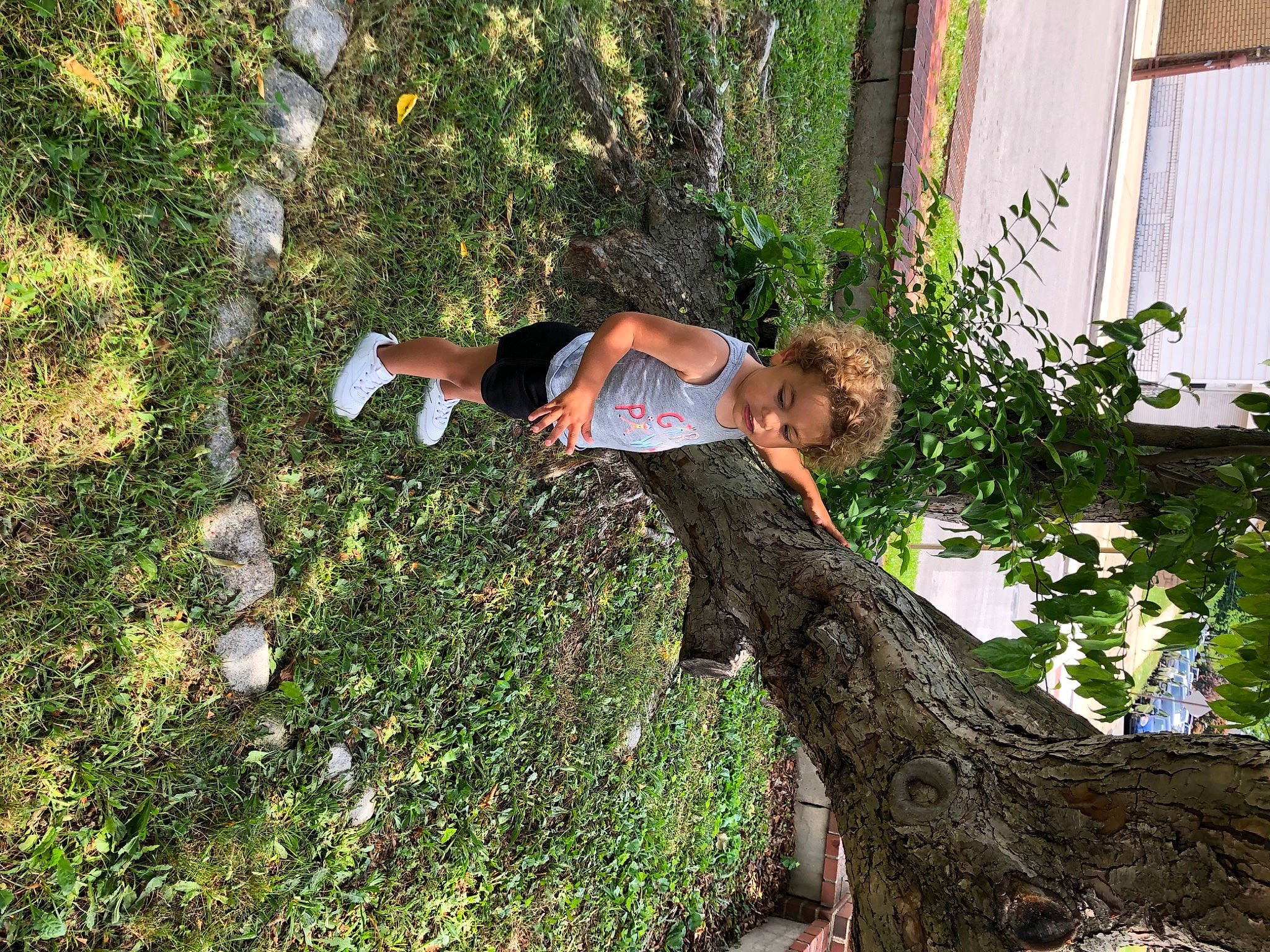 Skylar is registered to the contest to win money with this photo: elbow, fun, garden, grass, groundcover, leisure, people_in_nature, person, plant, shadow, shorts, shrub, soil, t_shirt, thigh, tree, trunk, wood, yard