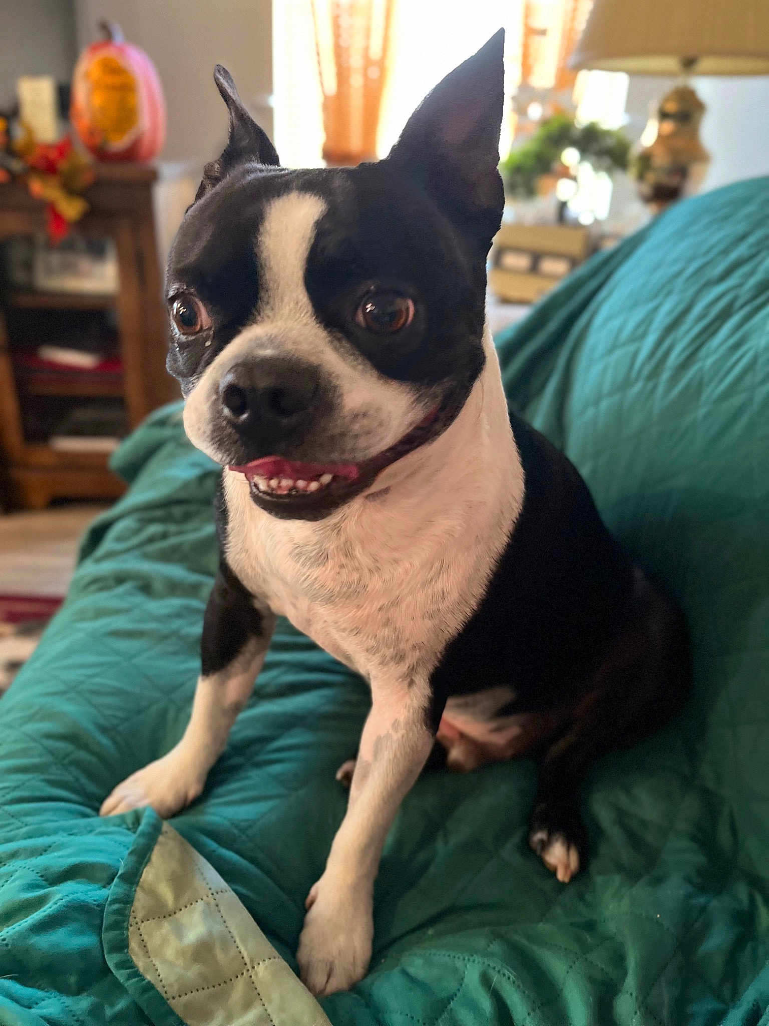 Ajax