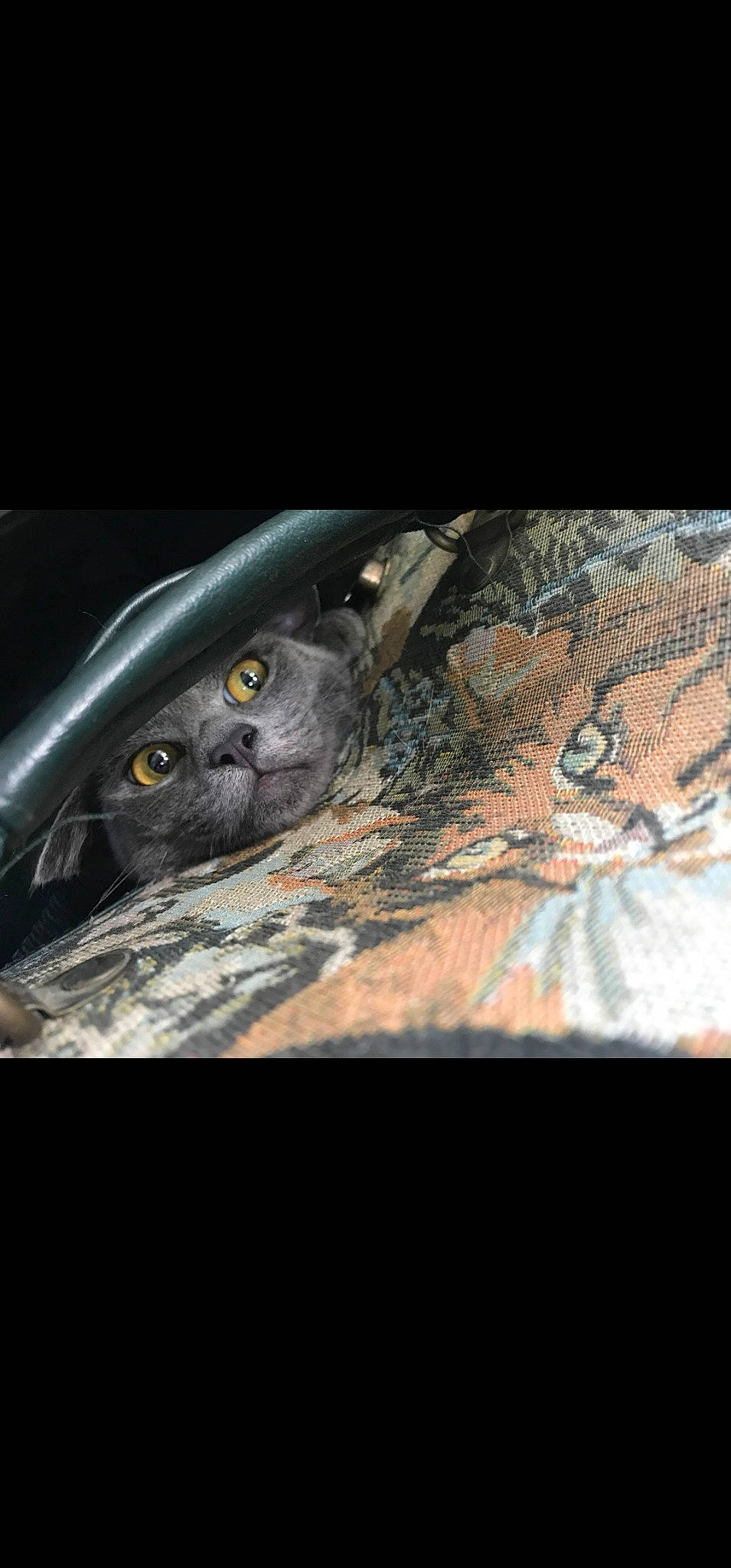 Dani is registered to the contest to win money with this photo: art, auto_part, automotive_design, automotive_exterior, automotive_lighting, automotive_tire, automotive_wheel_system, bumper, electric_blue, eye, fish, flash_photography, headlamp, hood, motor_vehicle, sleeve, vehicle_door, window, windshield, wood