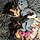Miss Molly Hatchet