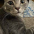 Carmen S.