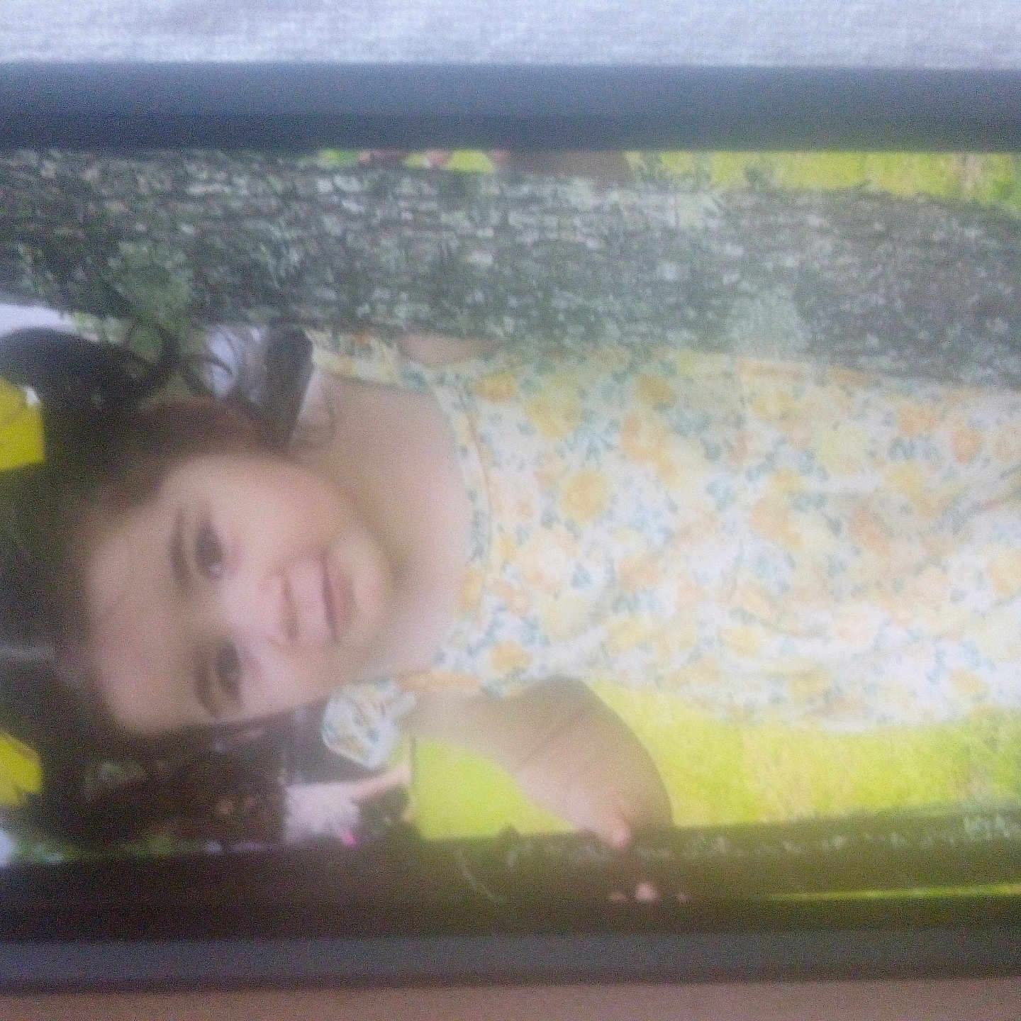 Emmy Ray is registered to the contest to win money with this photo: child, cute, daylight, floral_dress, girl, grass, hair, holding, nature, outdoor, person, phone_screen, photo_of_photo, portrait, smile, standing, summer, tree, yellow_bows, young_child