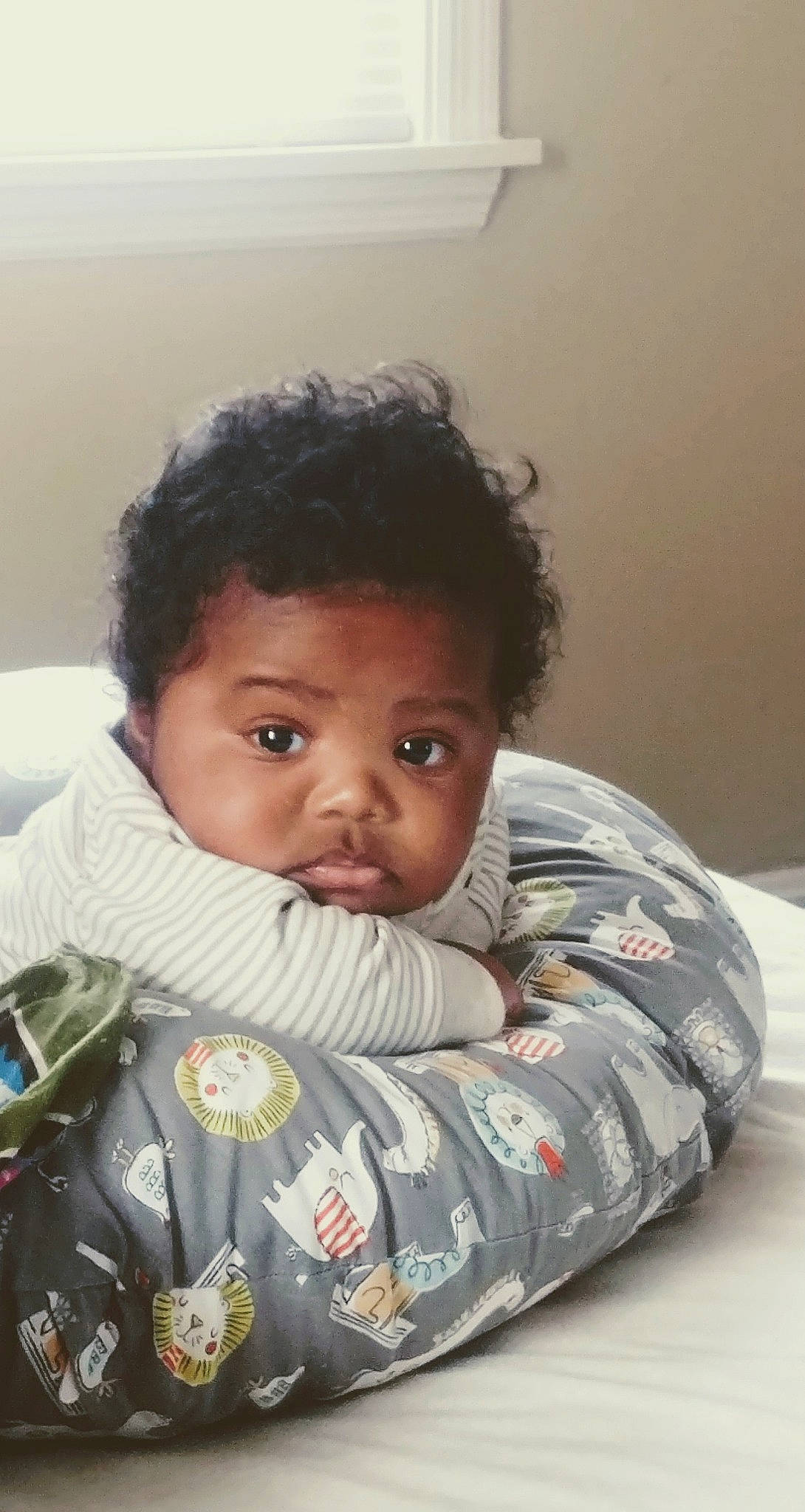 Princeton is registered to the contest to win money with this photo: boy, cheek, child, eye, forehead, girl, head, infant, nose, person, product, sitting, smile, toddler