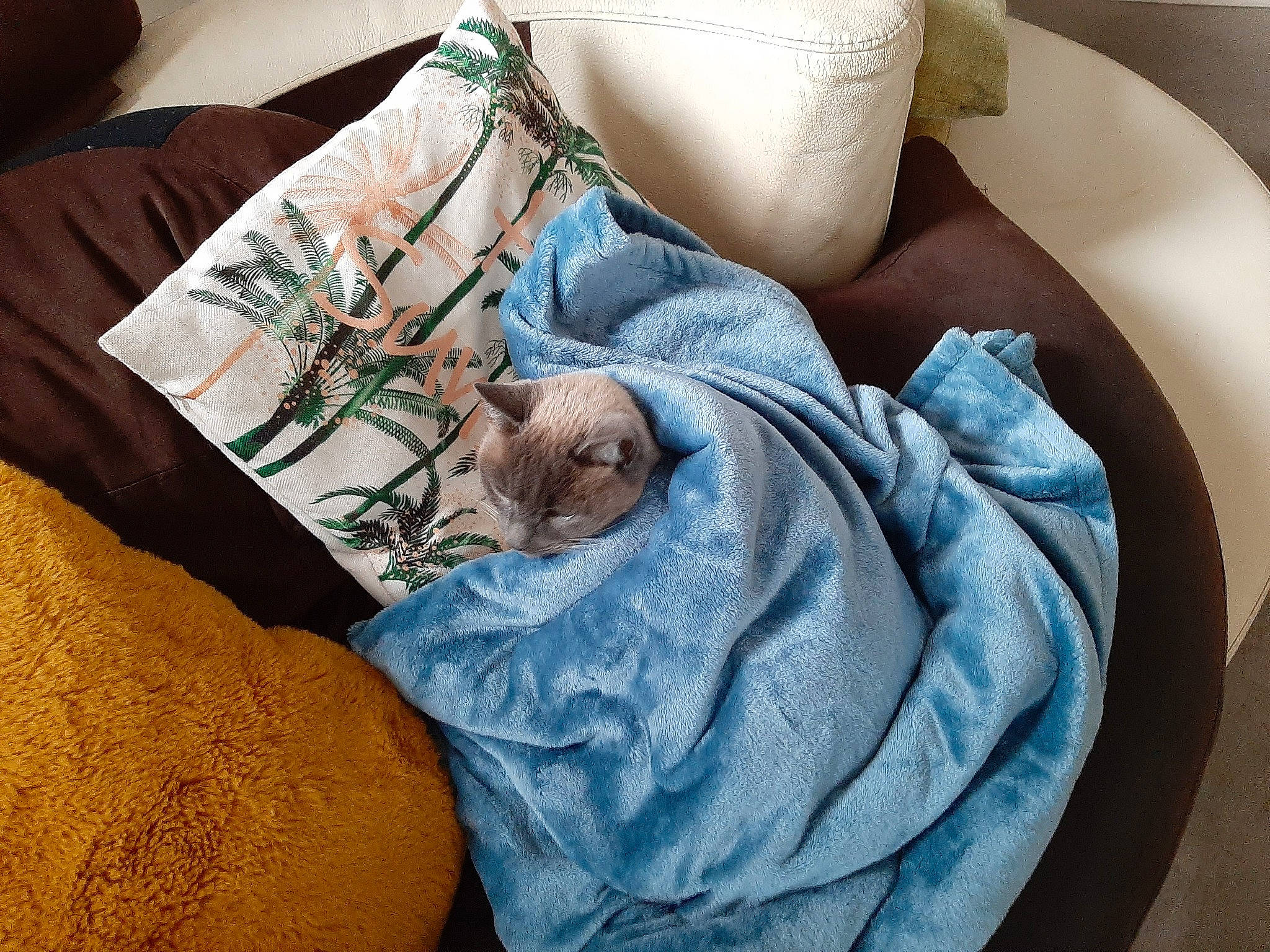 Naya a rejoint le concours — aidez-le/la à gagner de superbes lots ! bag, bed_sheet, bedding, bedroom, comfort, couch, denim, electric_blue, human_leg, leg, linens, pattern, pillow, room, sitting, sleeve, t_shirt, textile, thigh, throw_pillow